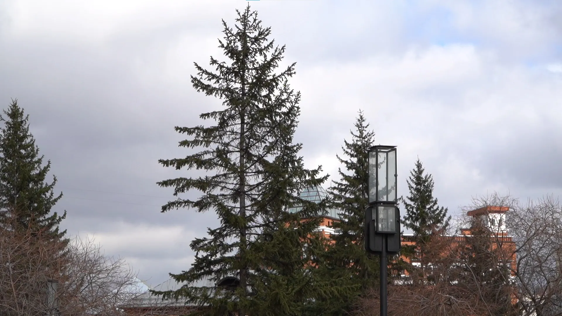 Резкое усиление ветра прогнозируют в Алтайском крае Резкое усиление ветра прогнозируют в Алтайском крае