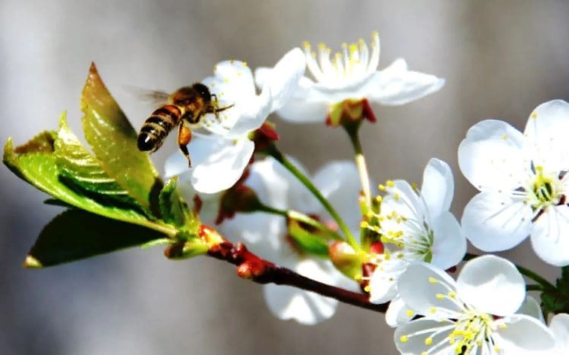 Пудов день: традиции и приметы на 28 апреля Пудов день: традиции и приметы на 28 апреля