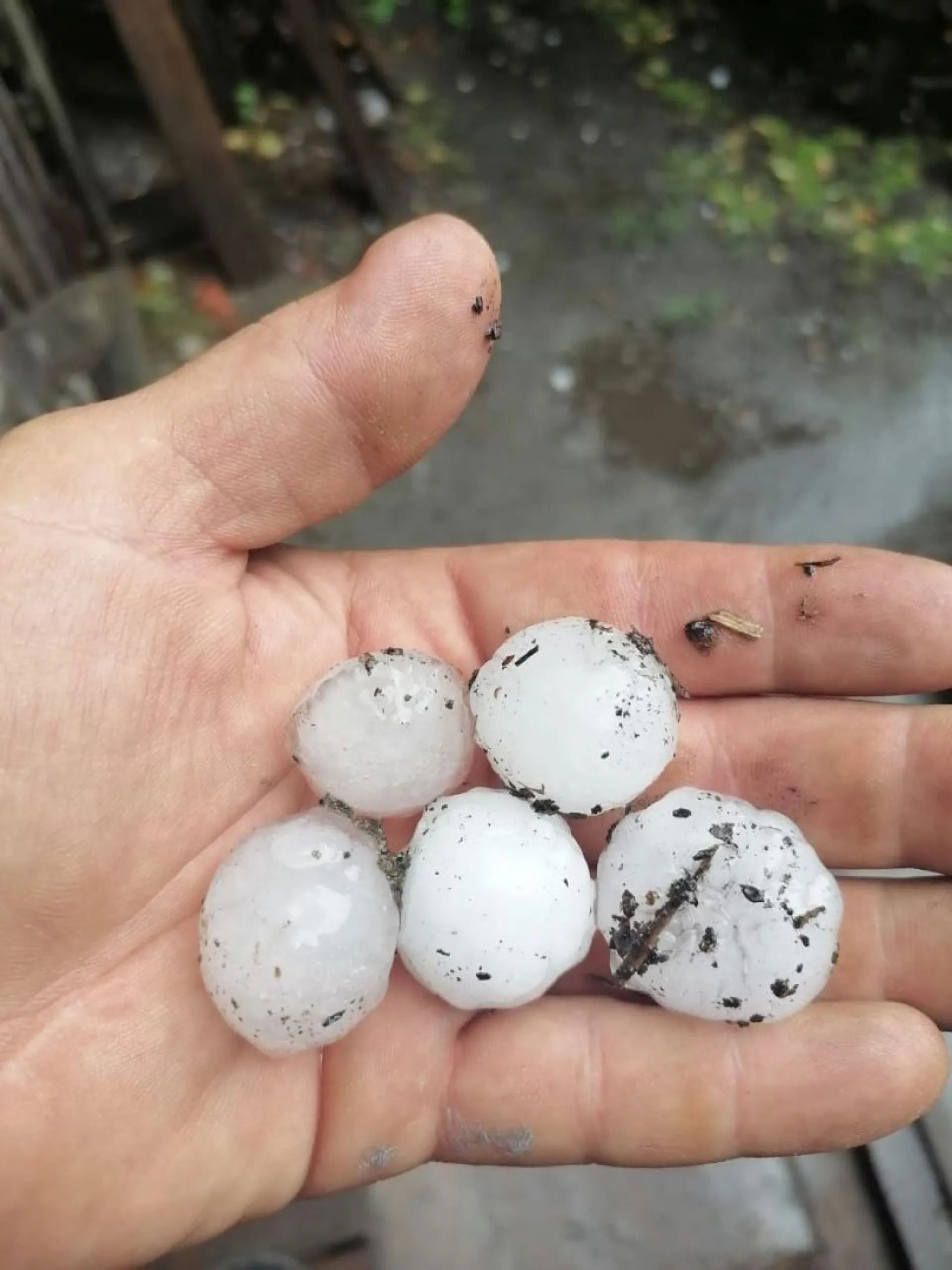 Град размером с куриное яйцо обрушился на Бийск