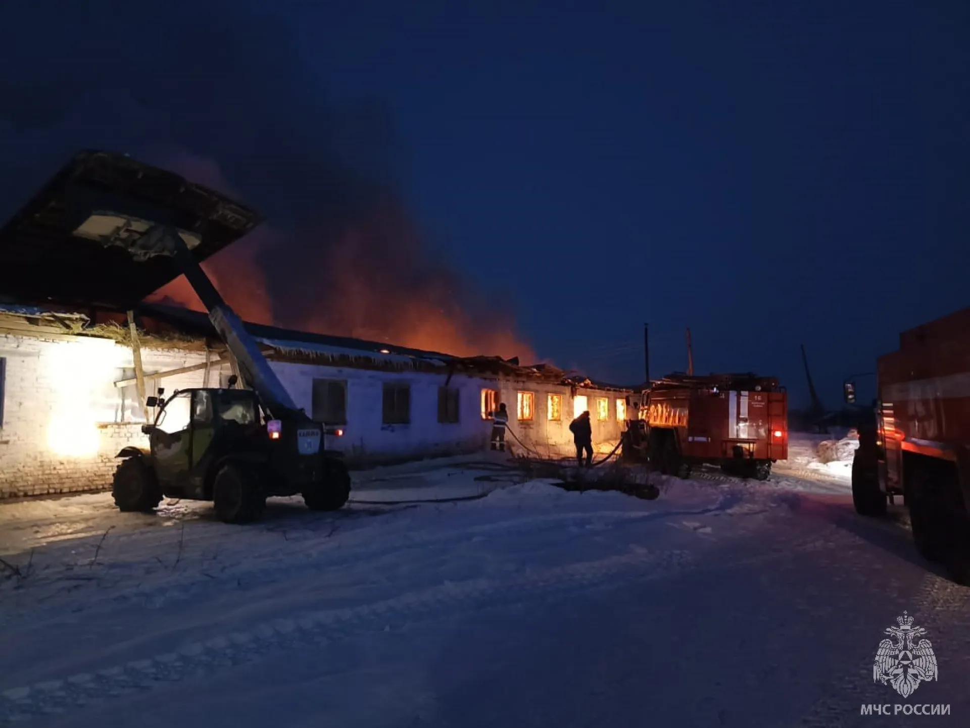35 животных спасли на крупном пожаре в Бийском районе