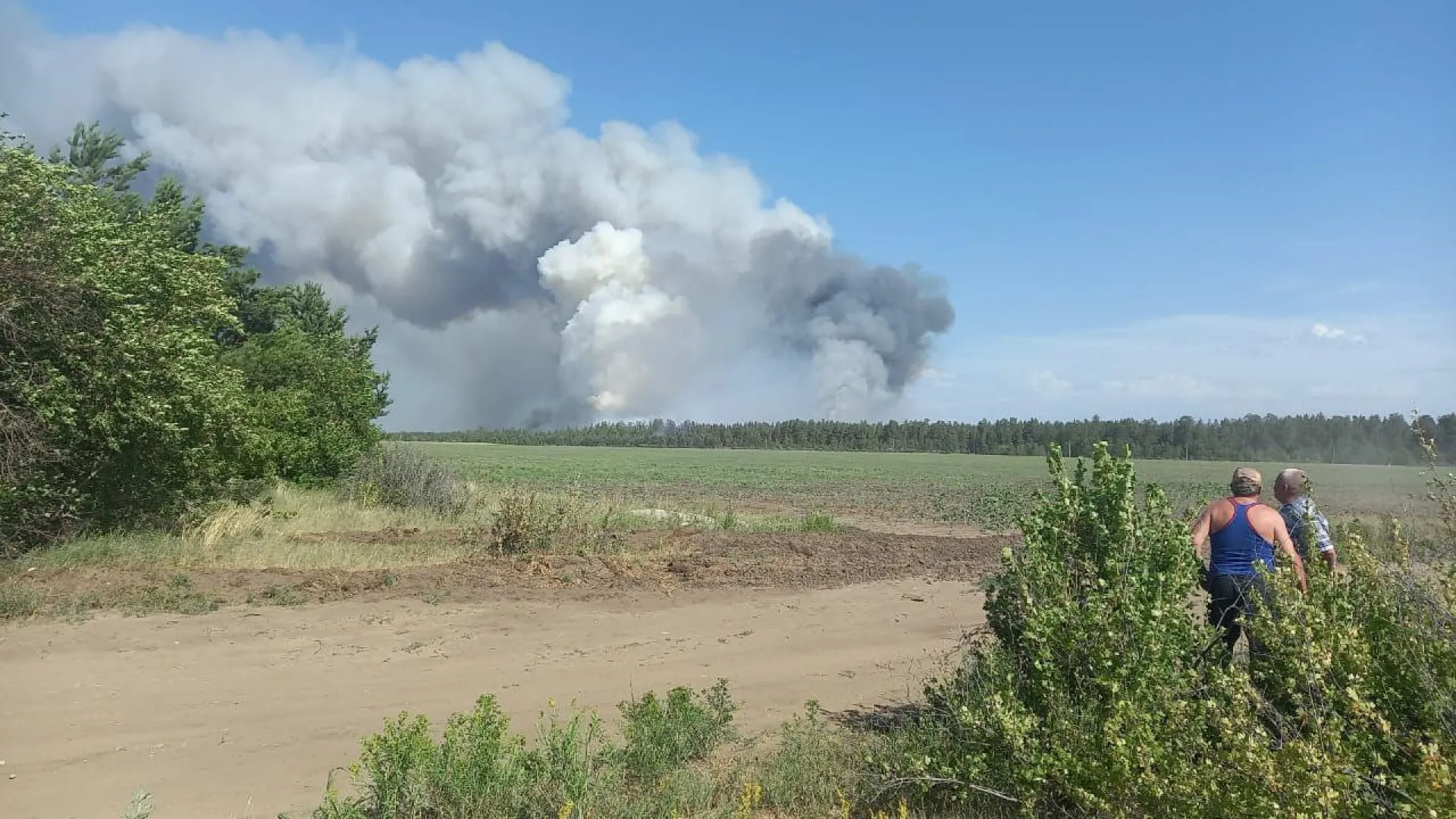 В Михайловском районе пожарные заняты в тушении лесных пожаров В Михайловском районе пожарные заняты в тушении лесных пожаров