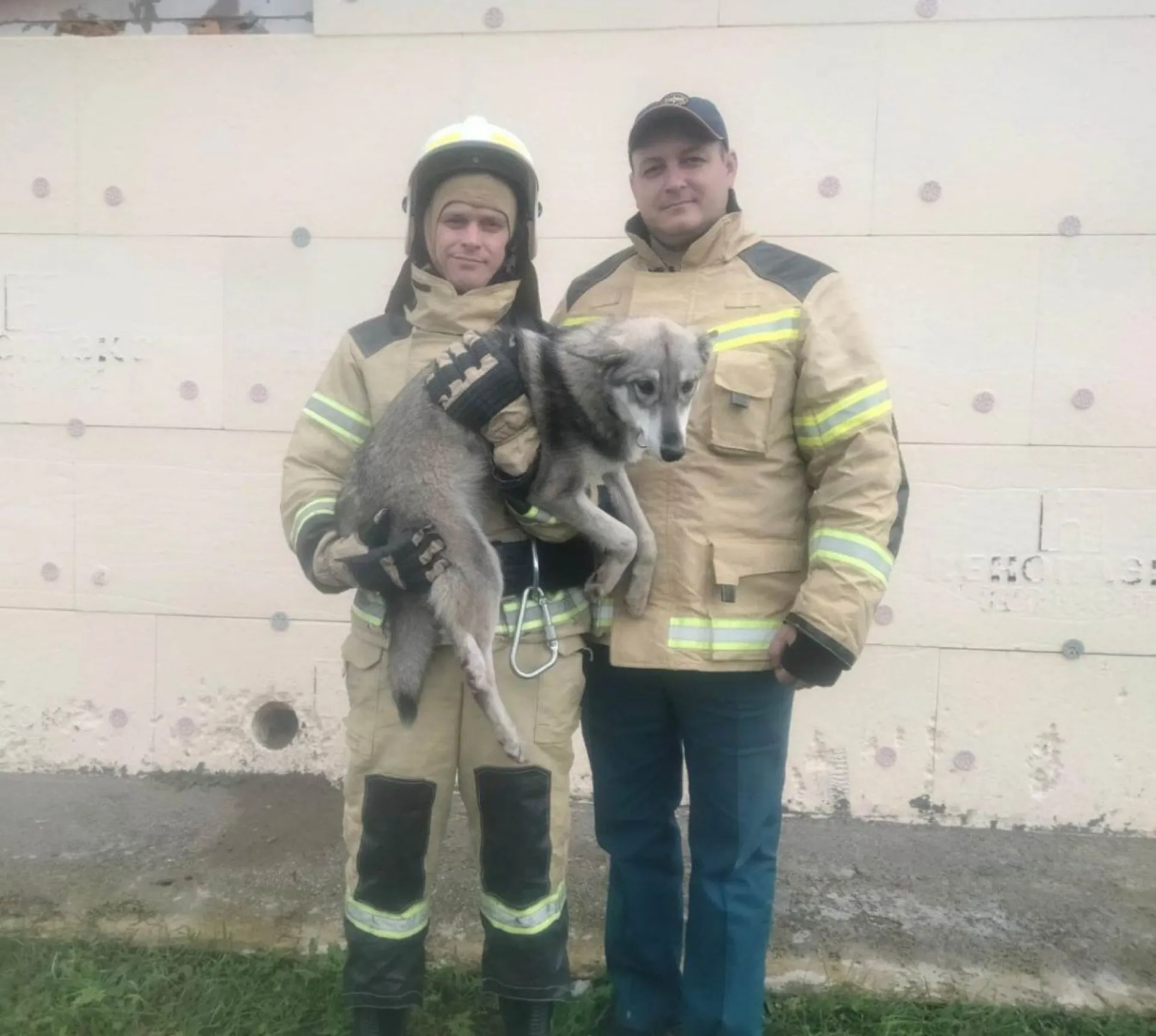 В Алтайском крае сотрудники МЧС спасли щенка В Алтайском крае сотрудники МЧС спасли щенка