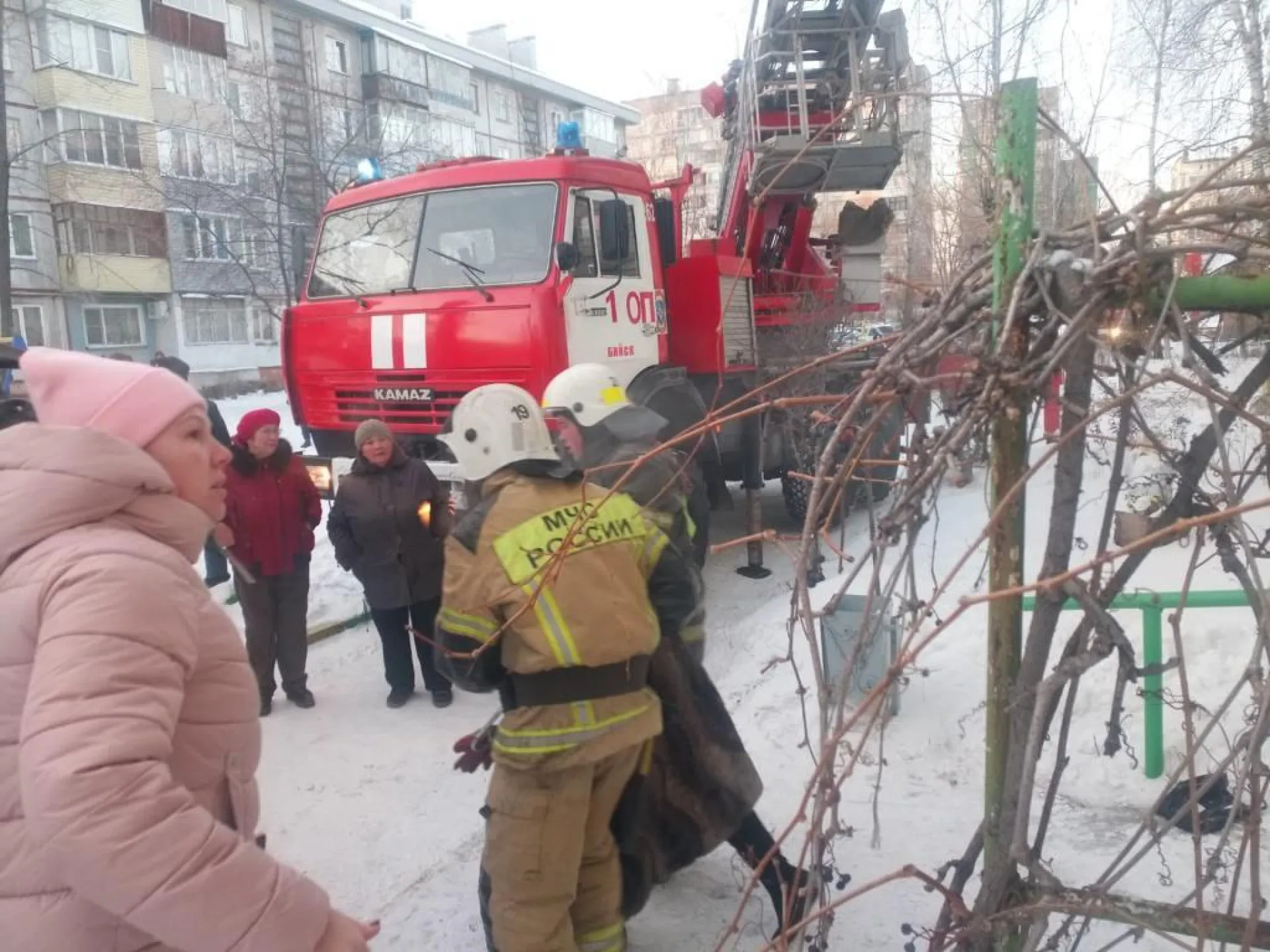 В Бийске пожарные спасли при возгорании 13 человек В Бийске пожарные спасли при возгорании 13 человек