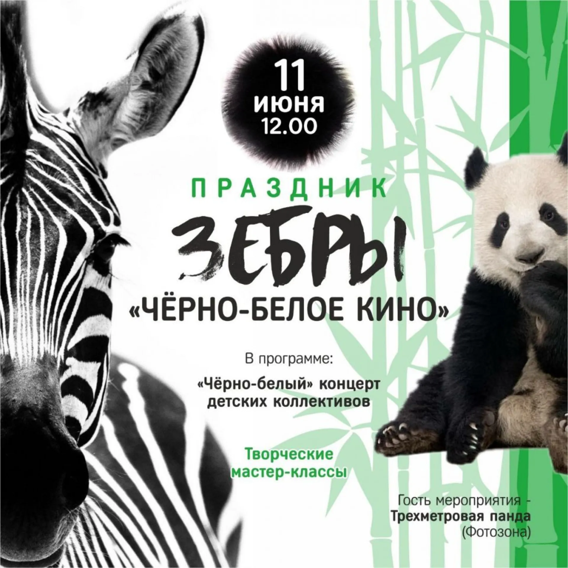 В барнаульском зоопарке пройдёт праздник зебры