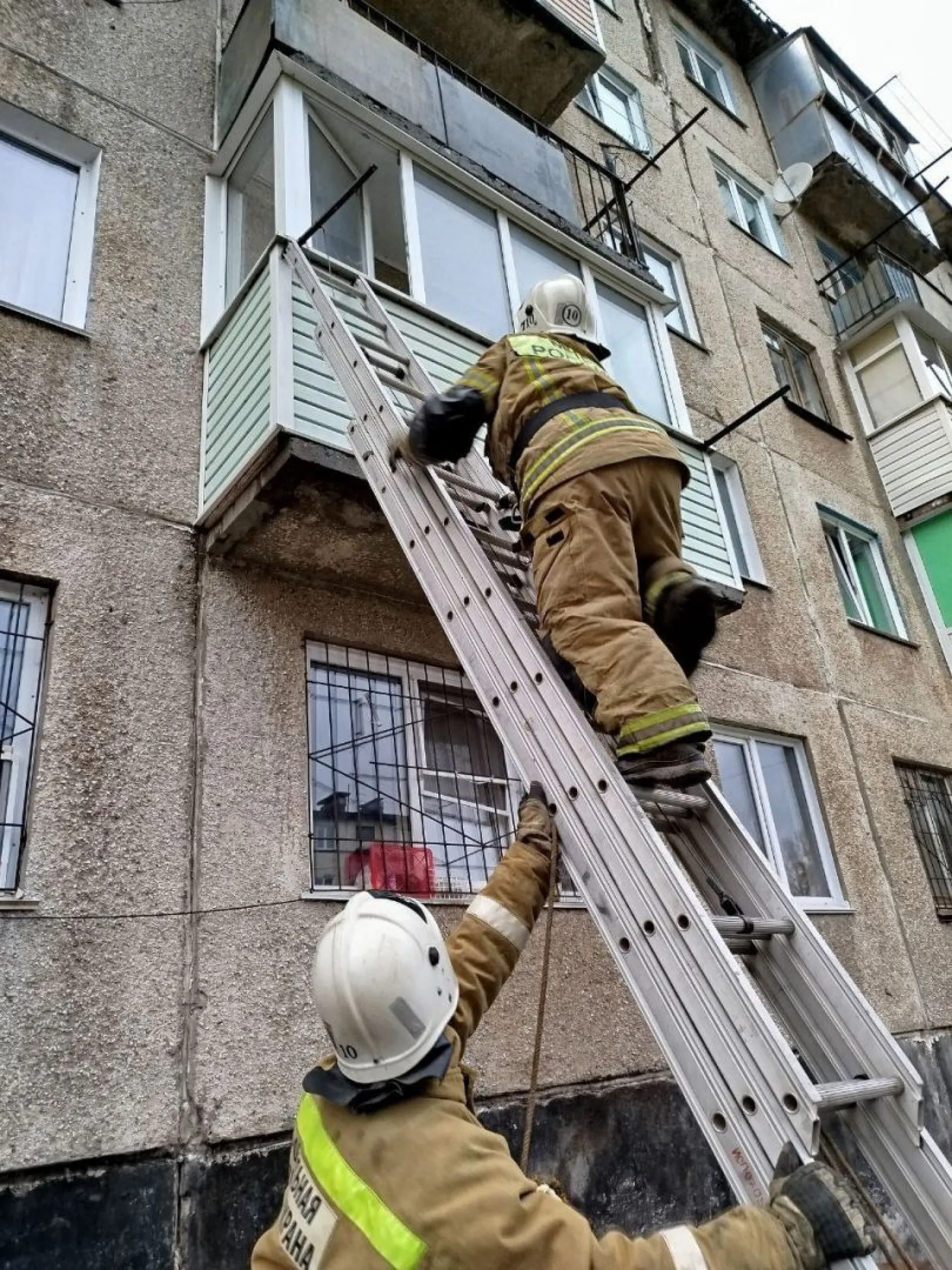 Спасатели помогли двум оказавшимся в беде пенсионеркам в Алтайском крае 