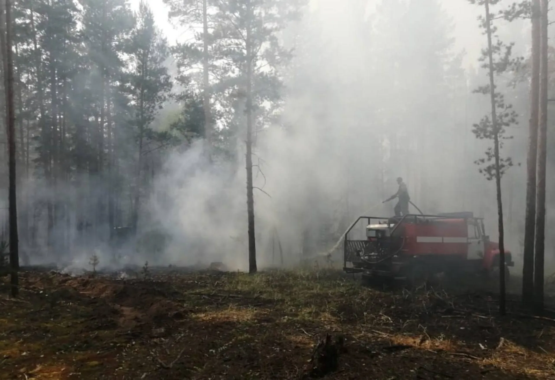 11 лесных пожаров за неделю: в Алтайском крае продолжается пожароопасный сезон