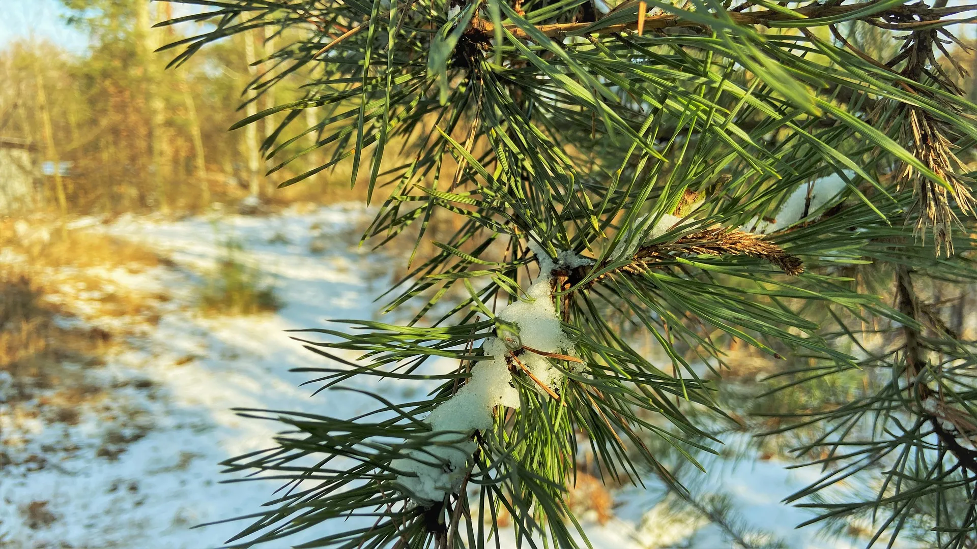 Алексей Теплый: традиции и приметы на 30 марта Алексей Теплый: традиции и приметы на 30 марта