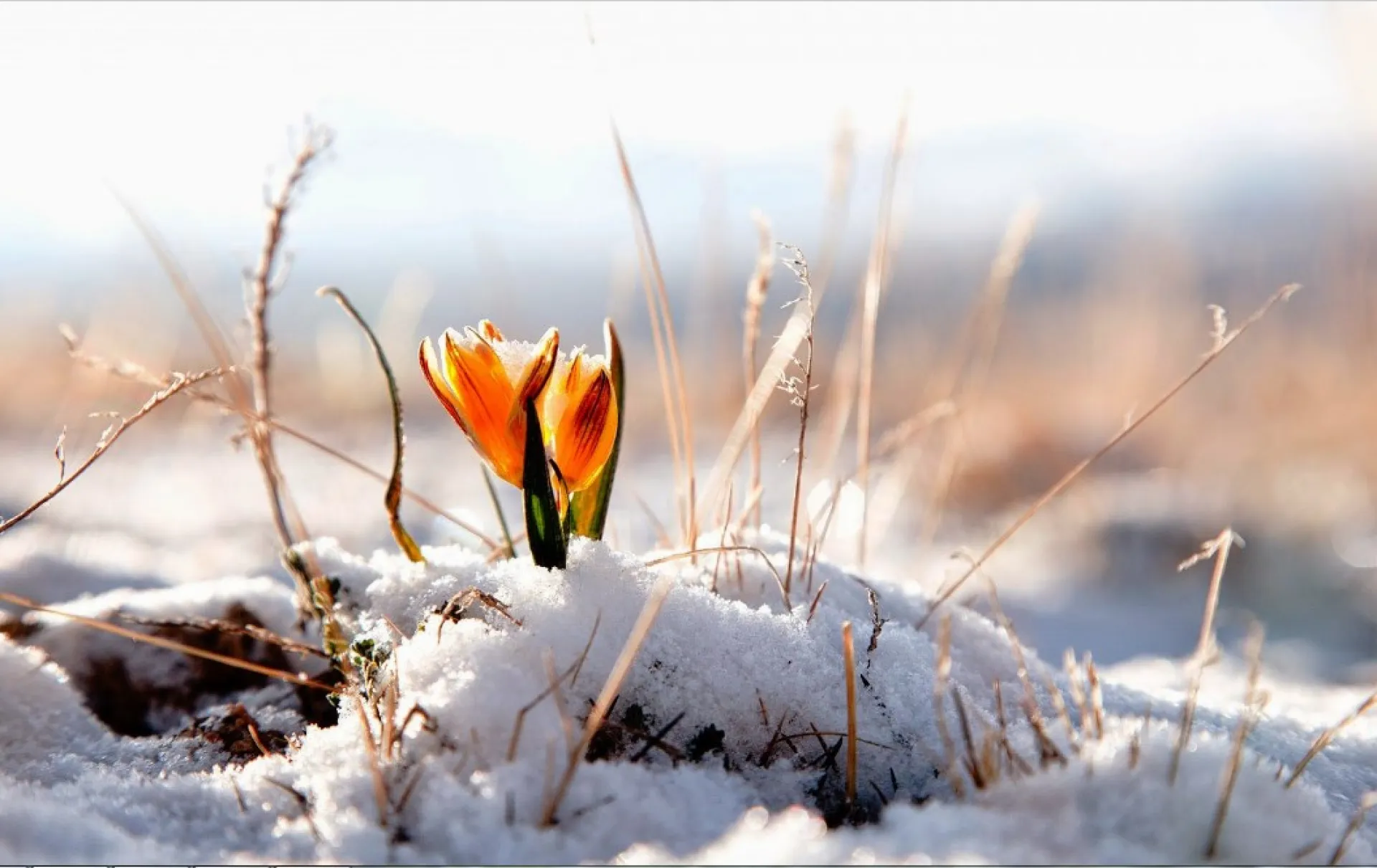 Порфирий поздний: традиции и приметы на 11 марта Порфирий поздний: традиции и приметы на 11 марта