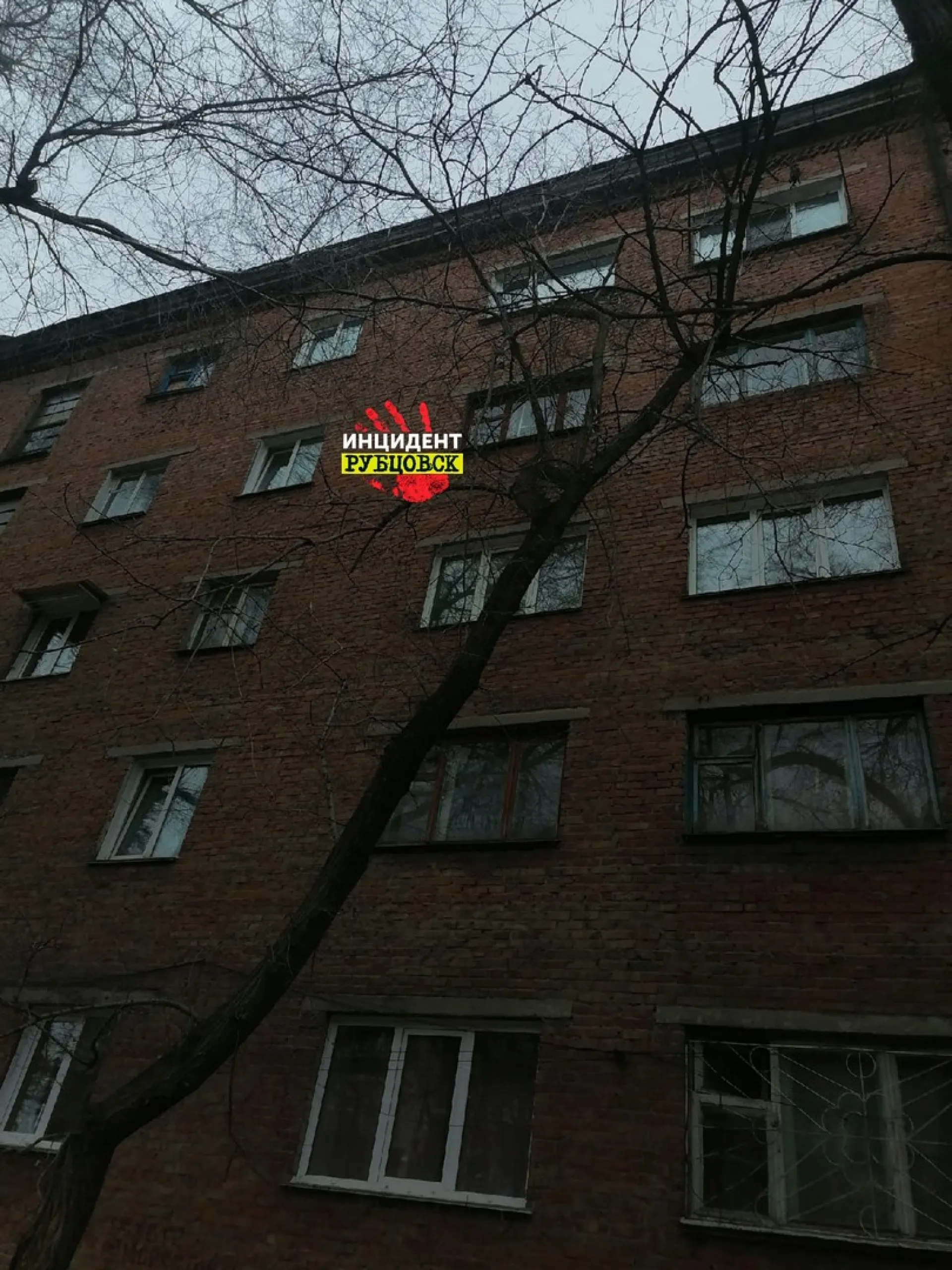 И вот именно поэтому из окна: на жительницу Рубцовска чуть не сбросили телевизор