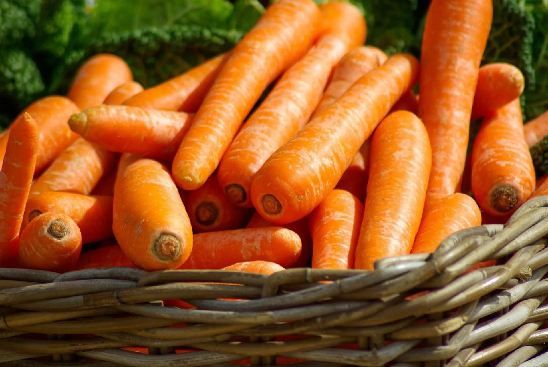 В России могут ограничить наценку на фермерские продукты