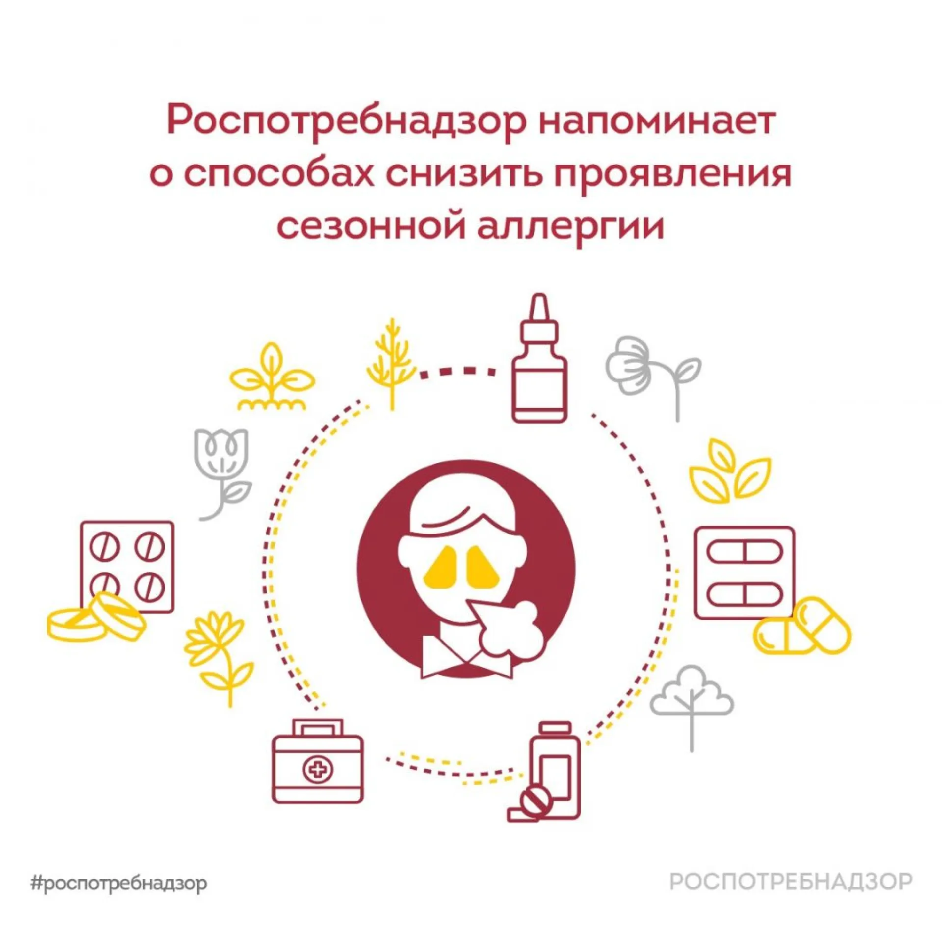 В Роспотребнадзоре рассказали о способах снижения сезонной аллергии