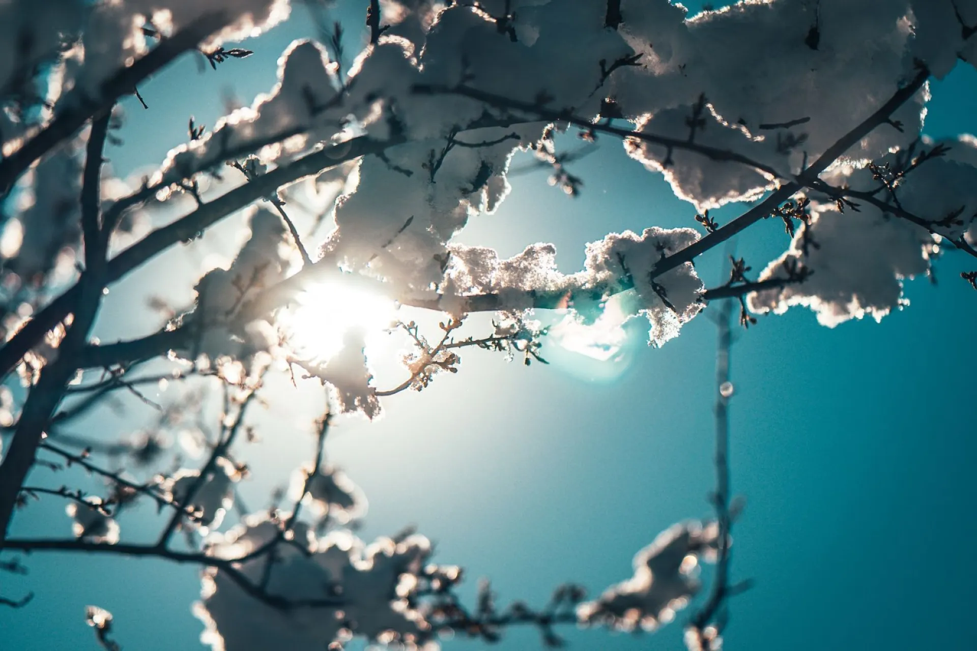 Проклов день: традиции и приметы на 3 декабря Проклов день: традиции и приметы на 3 декабря