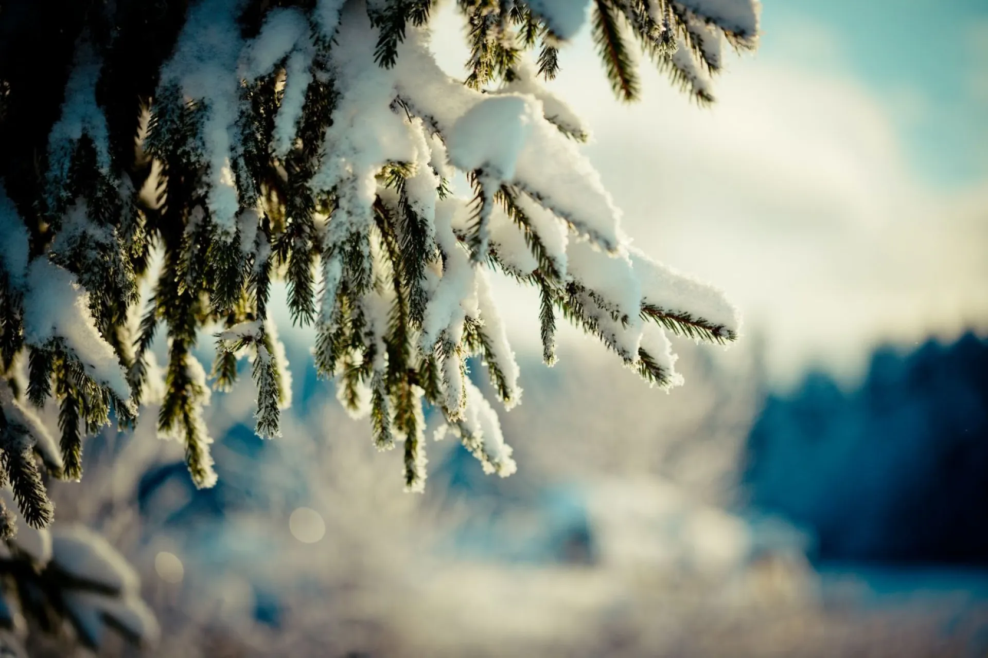 Лаврентьев день: традиции и приметы на 11 февраля Лаврентьев день: традиции и приметы на 11 февраля