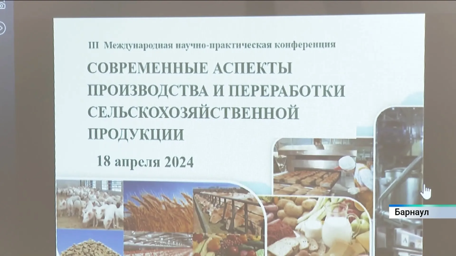 Вопросы продовольственной безопасности обсудили на международной конференции в Алтайском аграрном университете