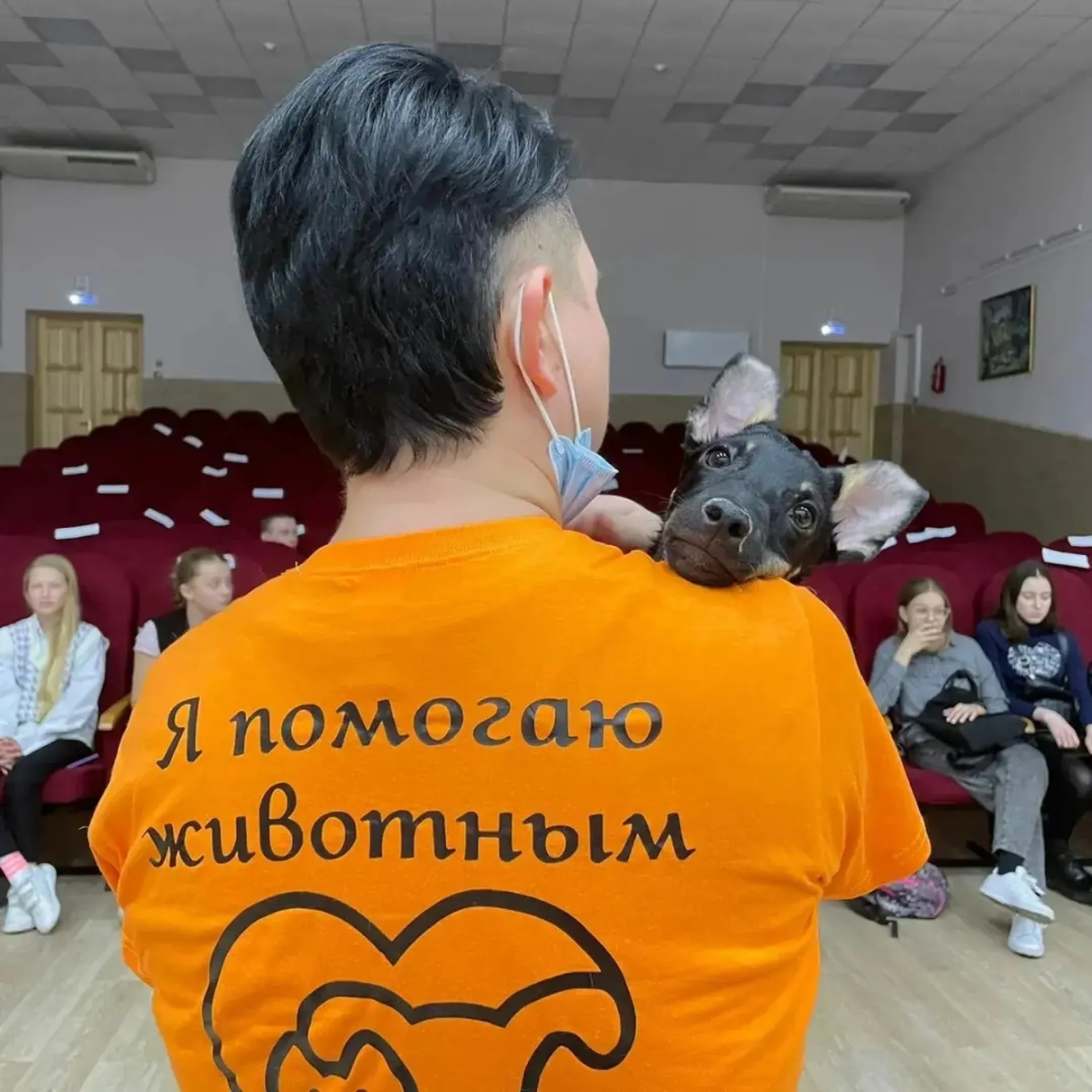 Прокуратура назначила проверку после жалобы зоозащитницы из Бийска на избиения