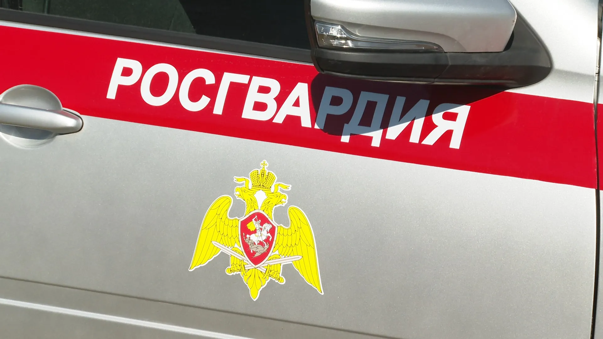 Сотрудников ЧОП в Алтайском крае хотят привлечь к патрулированию улиц