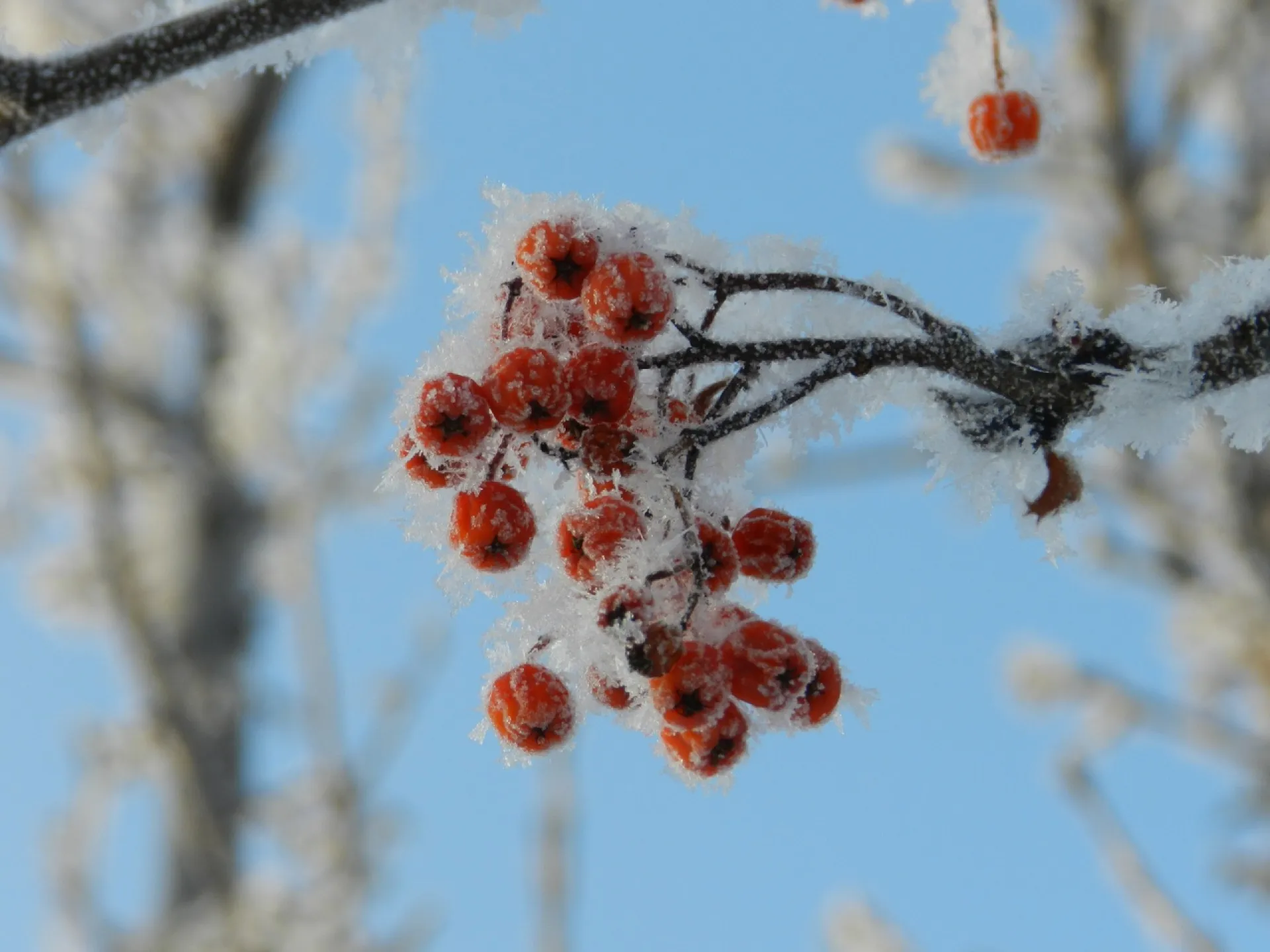 Ночью до -20, днём до +4: о погоде в Алтайском крае в выходные Ночью до -20, днём до +4: о погоде в Алтайском крае в выходные