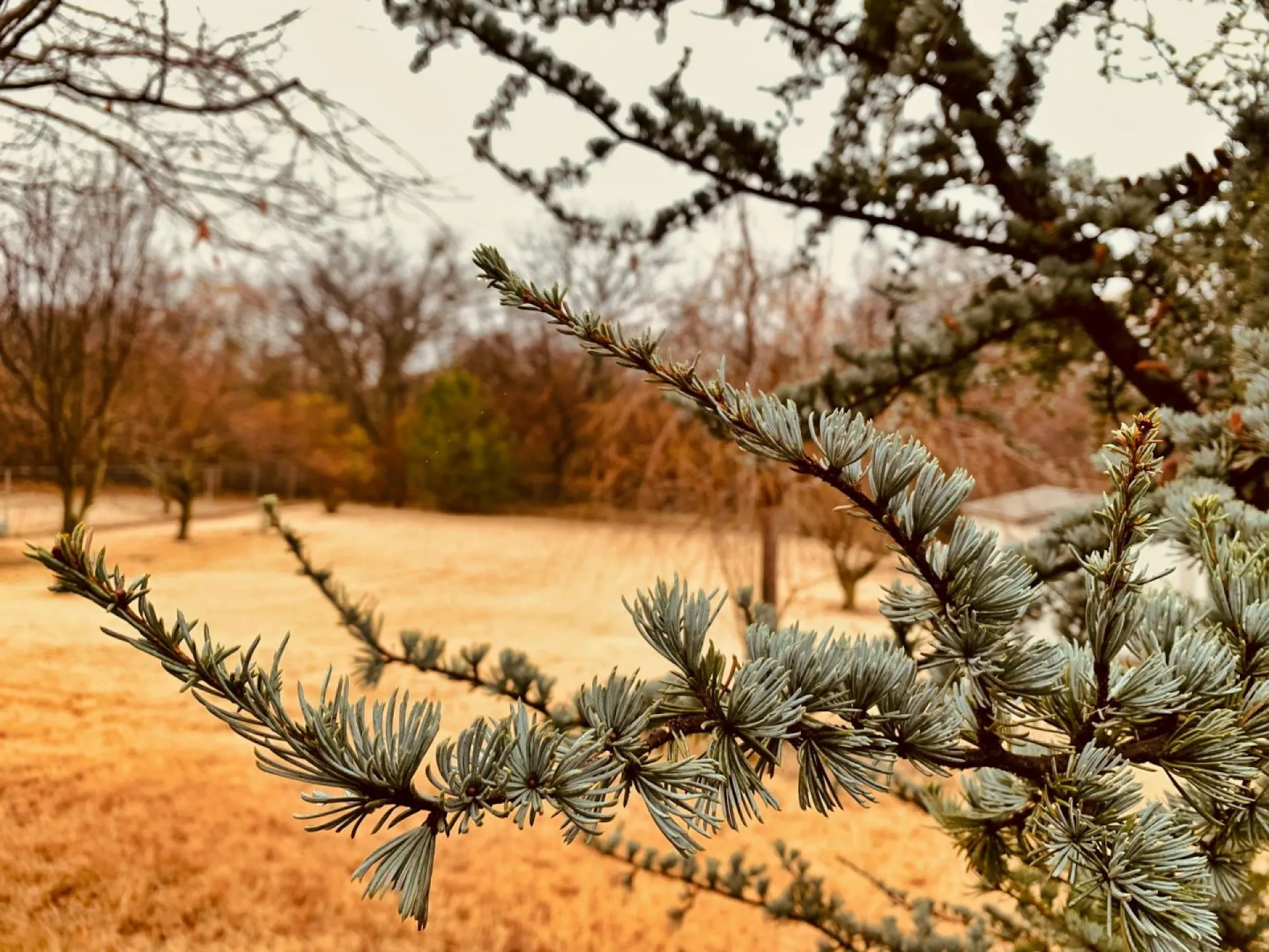 Ипатий Чудотворец: традиции и приметы на 13 апреля