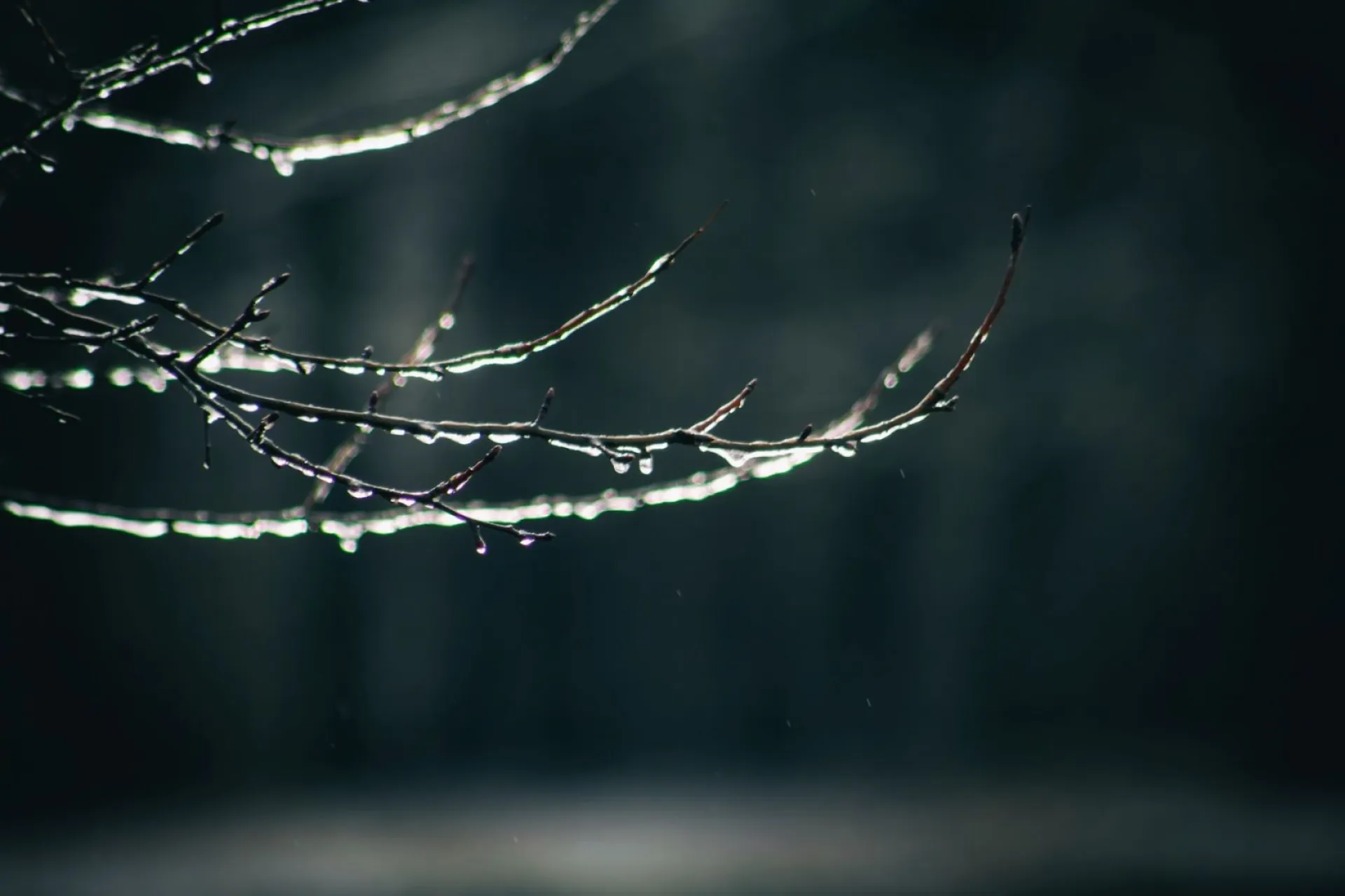 Кирилл Катаник: традиции и приметы на 3 апреля Кирилл Катаник: традиции и приметы на 3 апреля