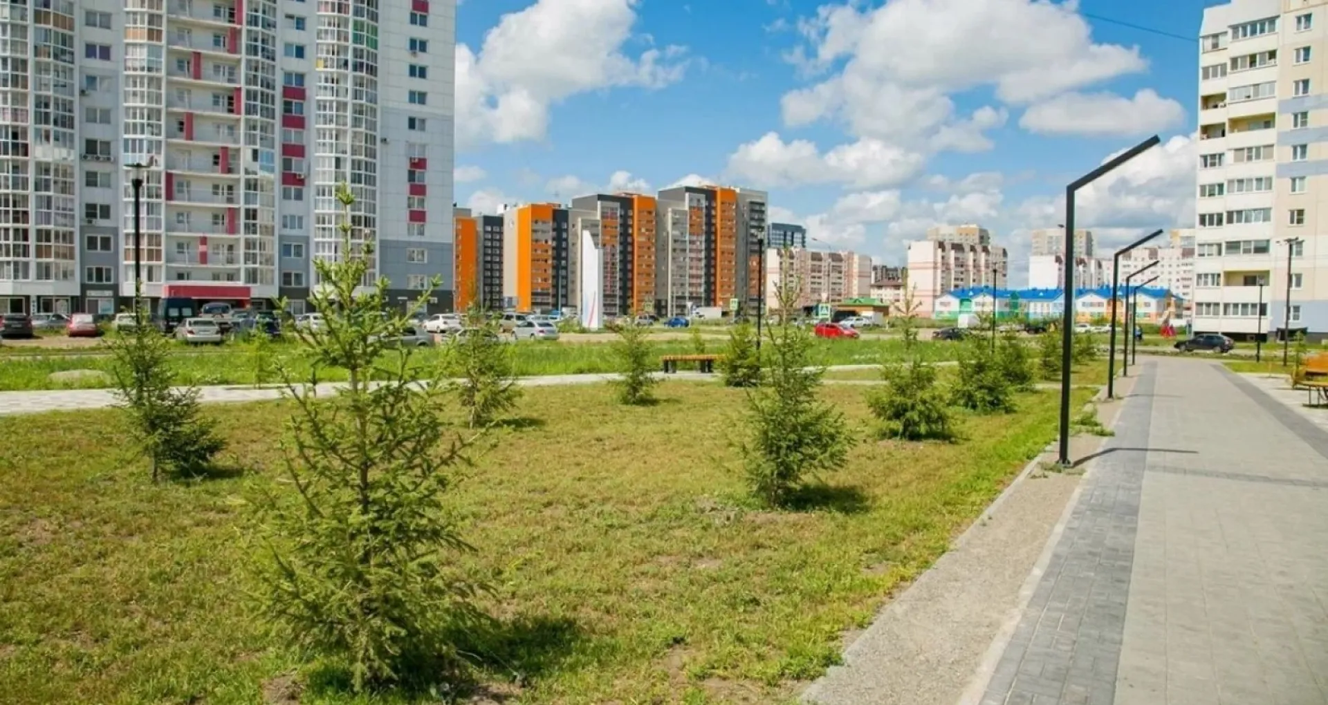 Новые деревья украсили сквер «Взлетный» в Барнауле
