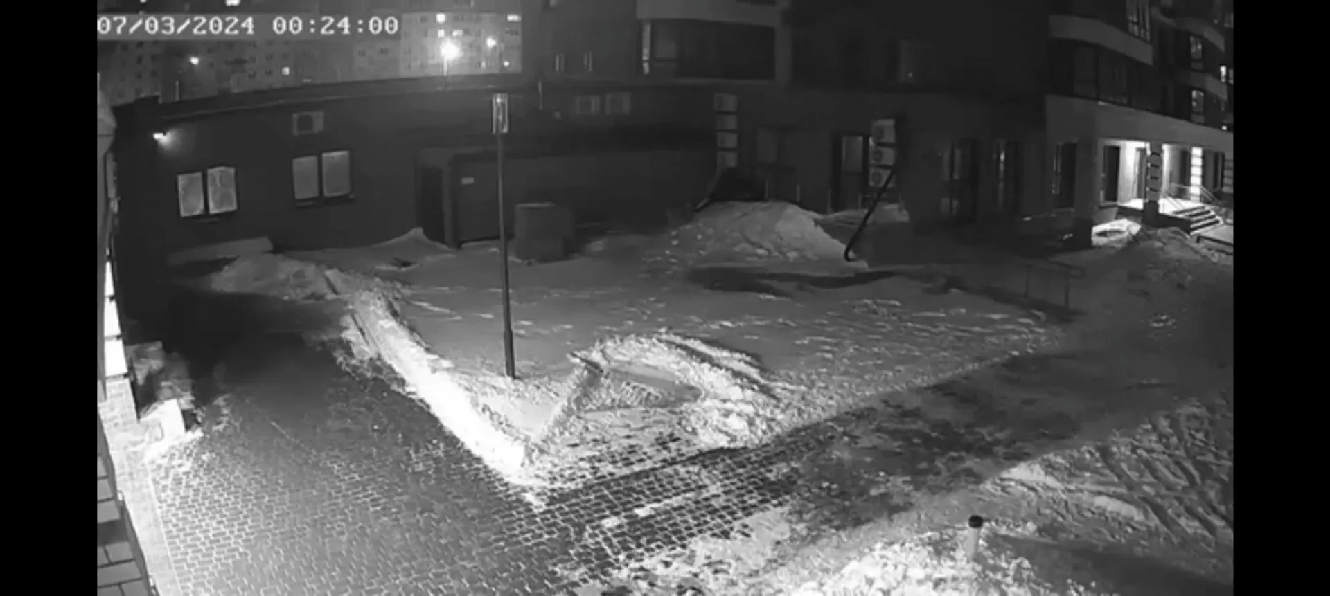Видео 18+: В Барнауле выкинули кота с 7 этажа Видео 18+: В Барнауле выкинули кота с 7 этажа