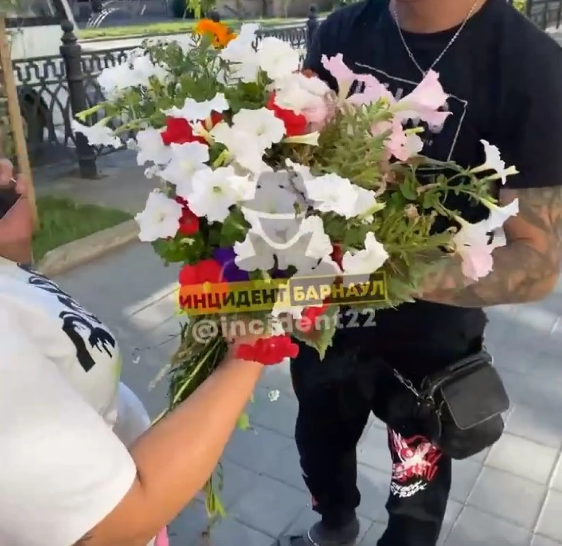«В подарок супруге»: горожане вырвали цветы из клумб Барнаула «В подарок супруге»: горожане вырвали цветы из клумб Барнаула