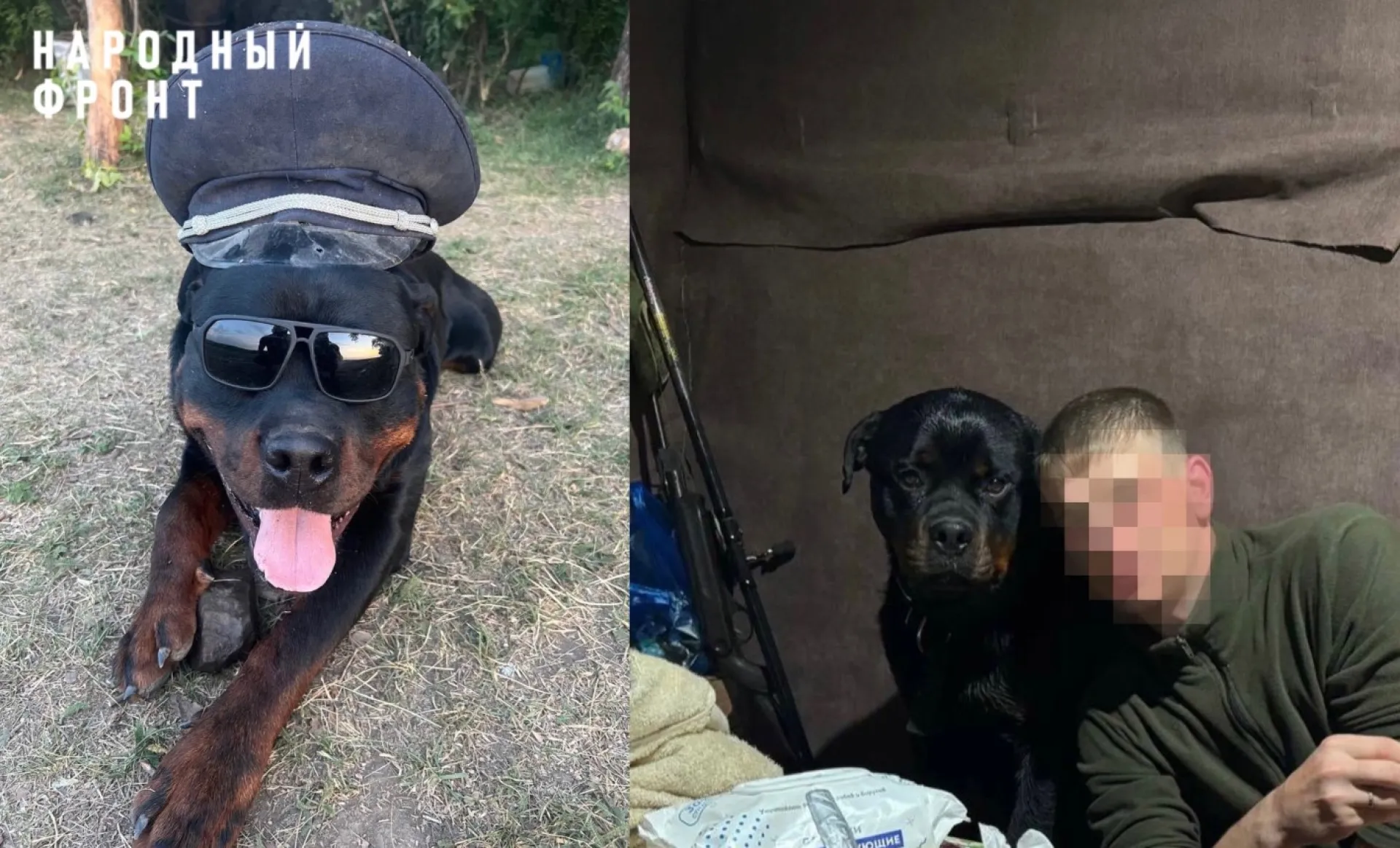 Боец из Алтайского края защищает Родину вместе с четвероногим другом 