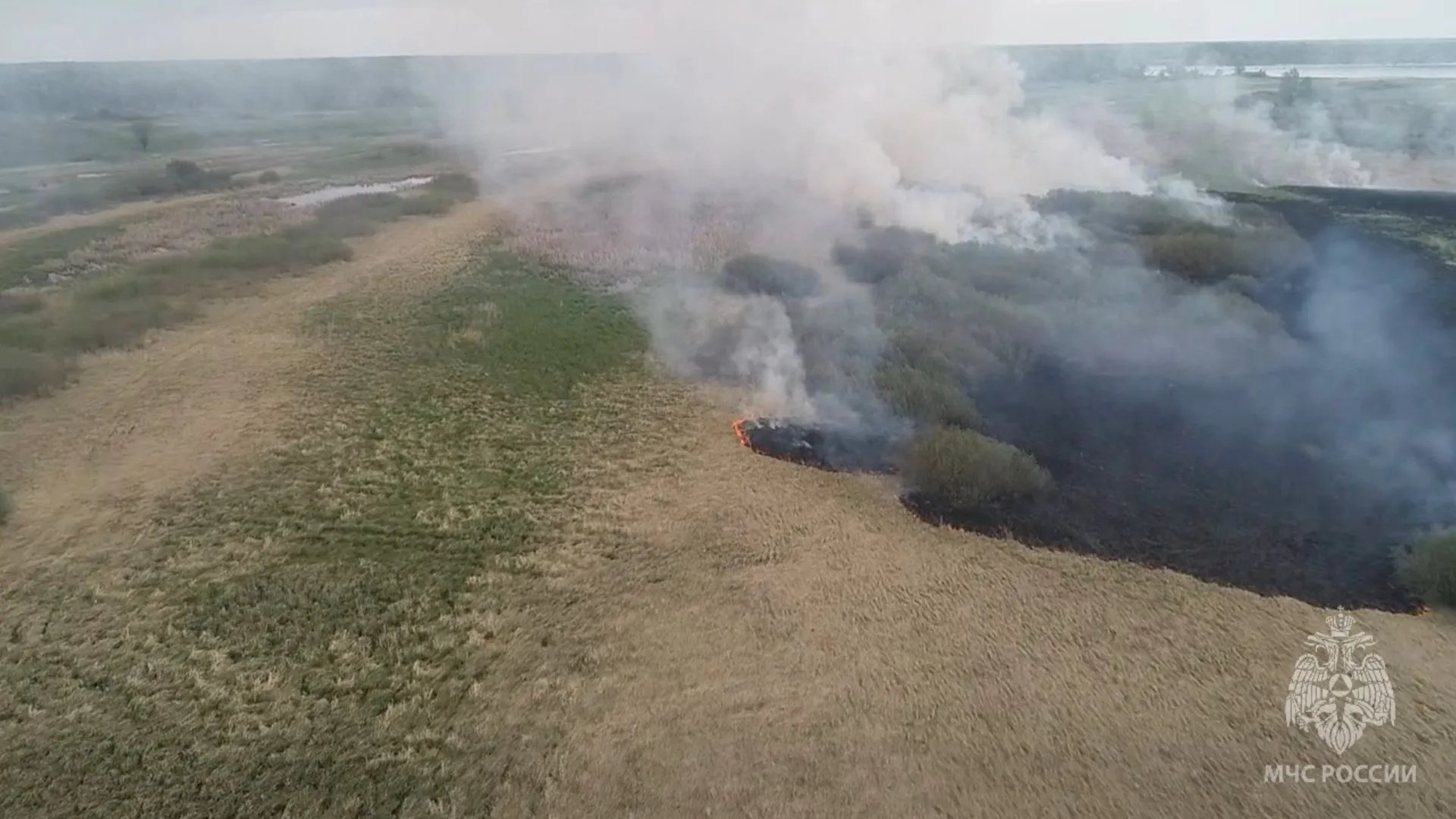 Крупный пожар локализовали в районе барнаульского посёлка Сибирская Долина 