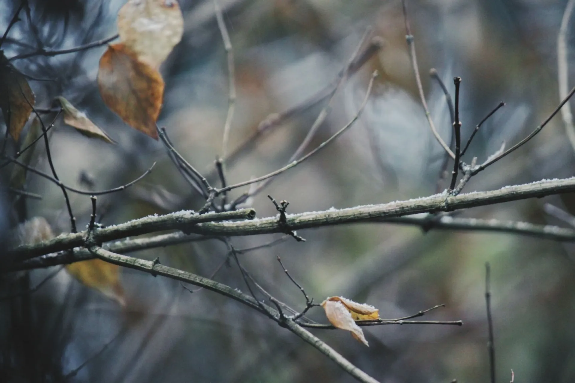 До -9: о погоде в Алтайском крае 22 ноября До -9: о погоде в Алтайском крае 22 ноября
