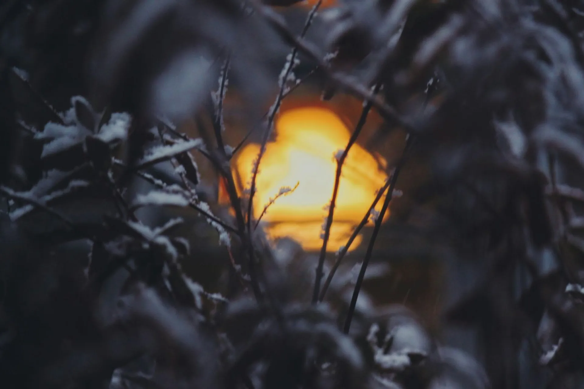 Михайлов день: традиции и приметы на 21 ноября