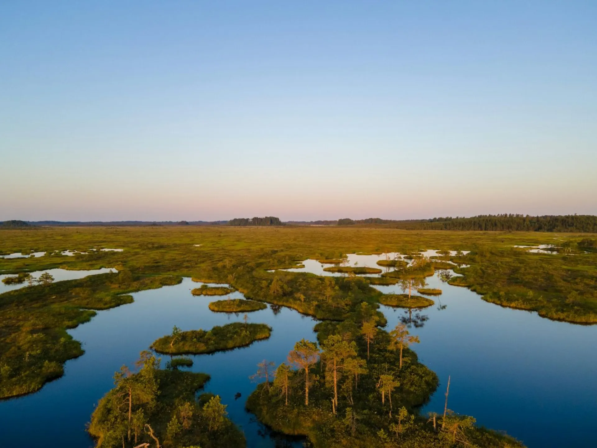 Симонов день: традиции и приметы на 23 мая Симонов день: традиции и приметы на 23 мая