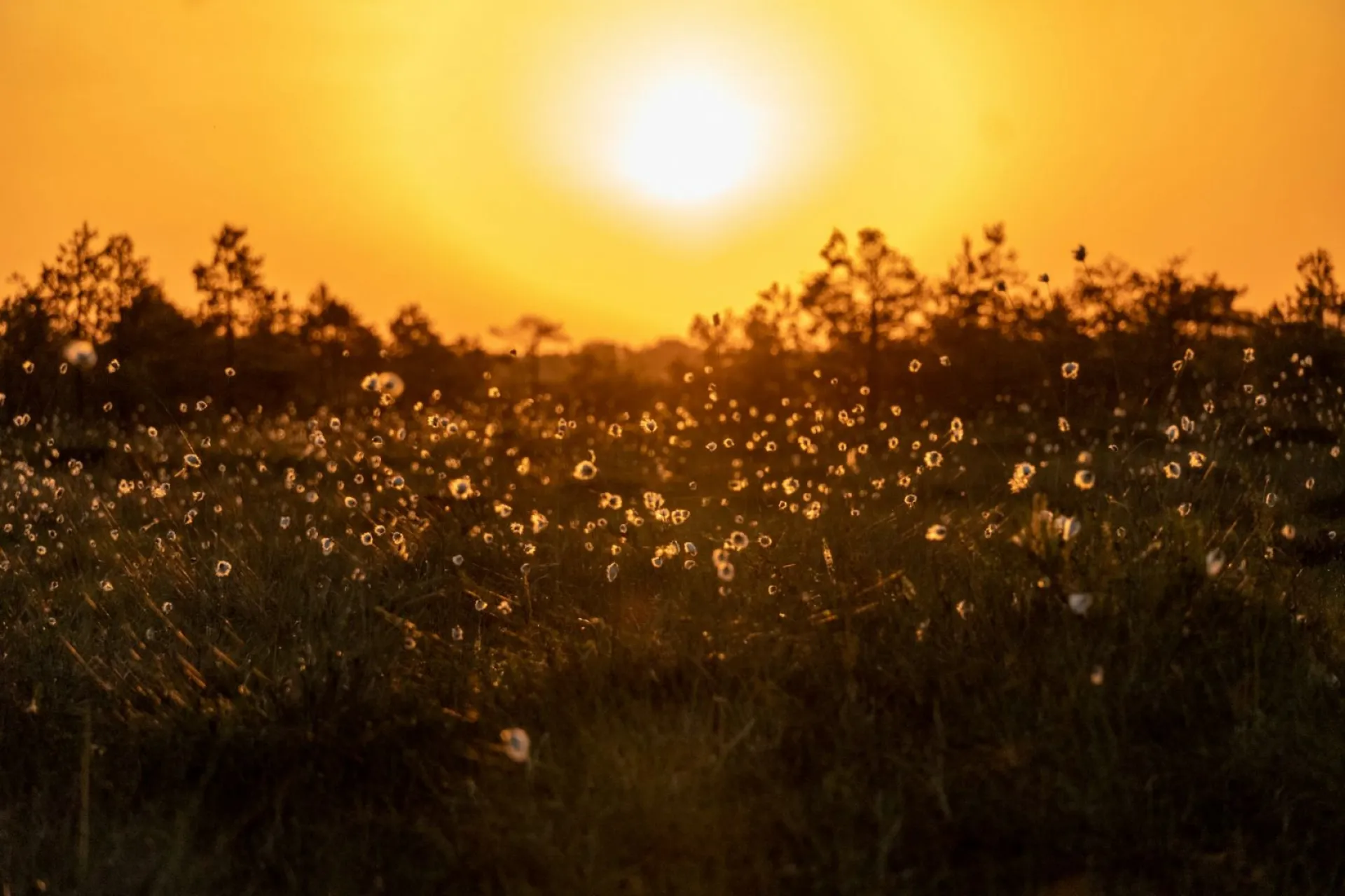 Кирилл и Мефодий: традиции и приметы на 24 мая