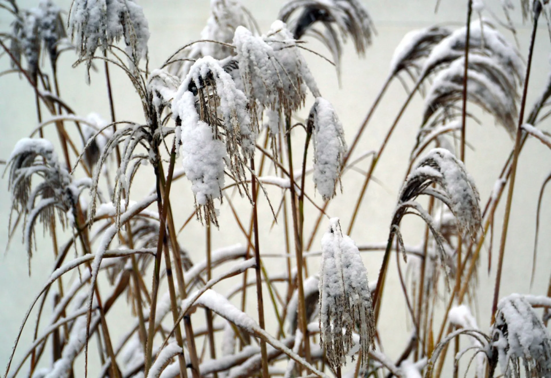 Акиндин и Пигасий: традиции и приметы на 15 ноября Акиндин и Пигасий: традиции и приметы на 15 ноября