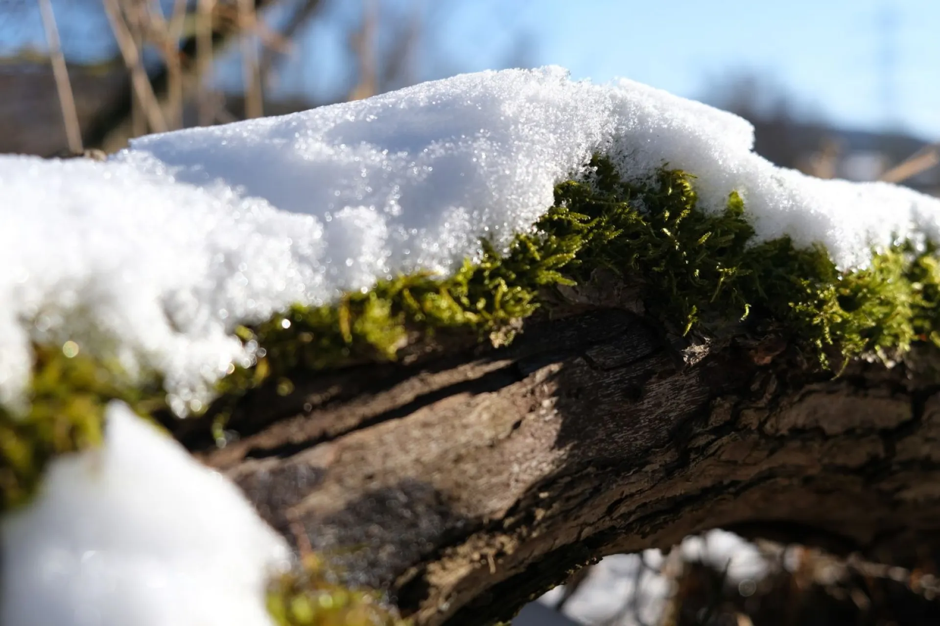 Никифоров день: традиции и приметы на 26 марта