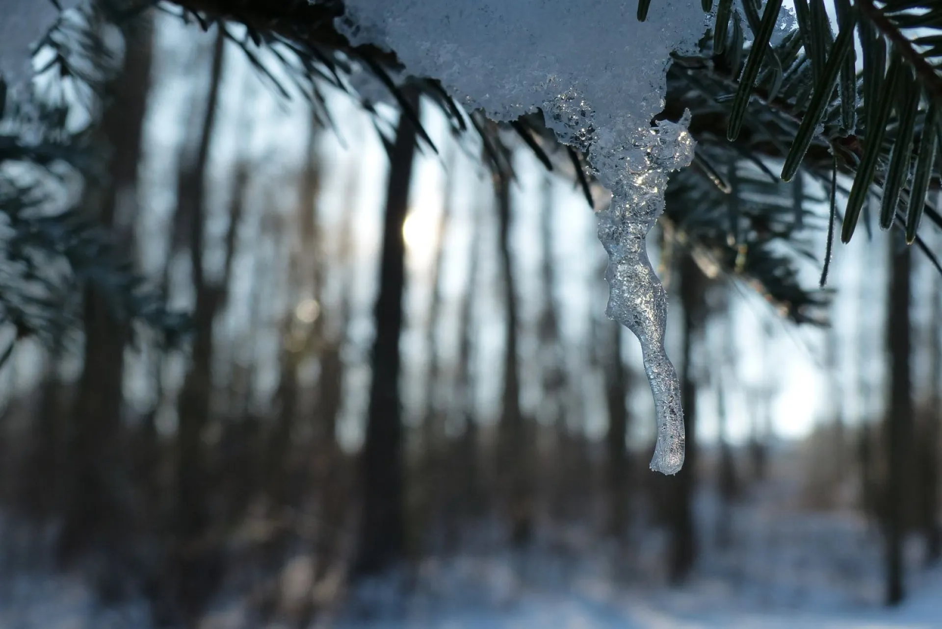 Тимофей Весновей: традиции и приметы на 6 марта Тимофей Весновей: традиции и приметы на 6 марта