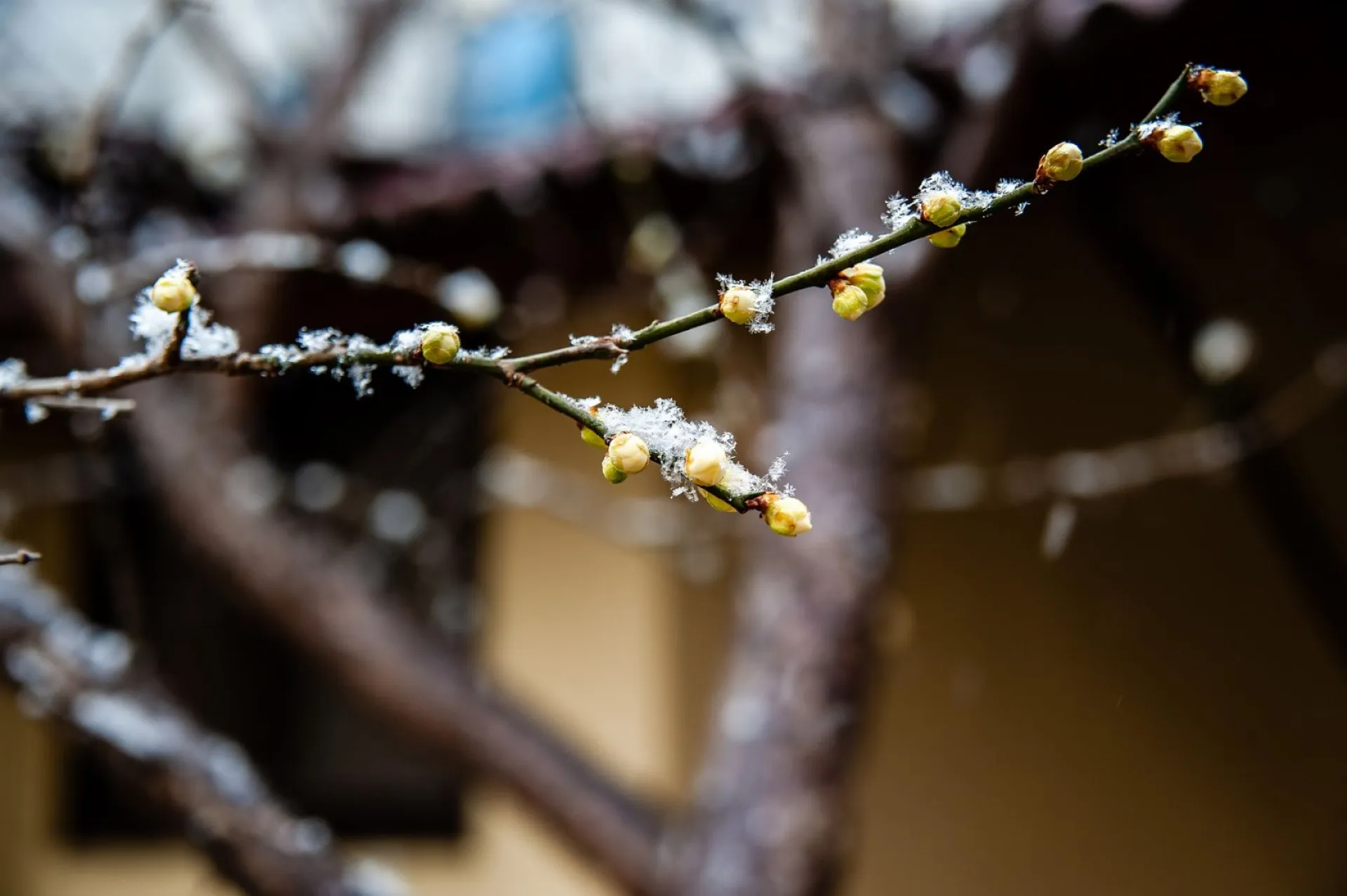 Тележный день: традиции и приметы на 29 марта Тележный день: традиции и приметы на 29 марта