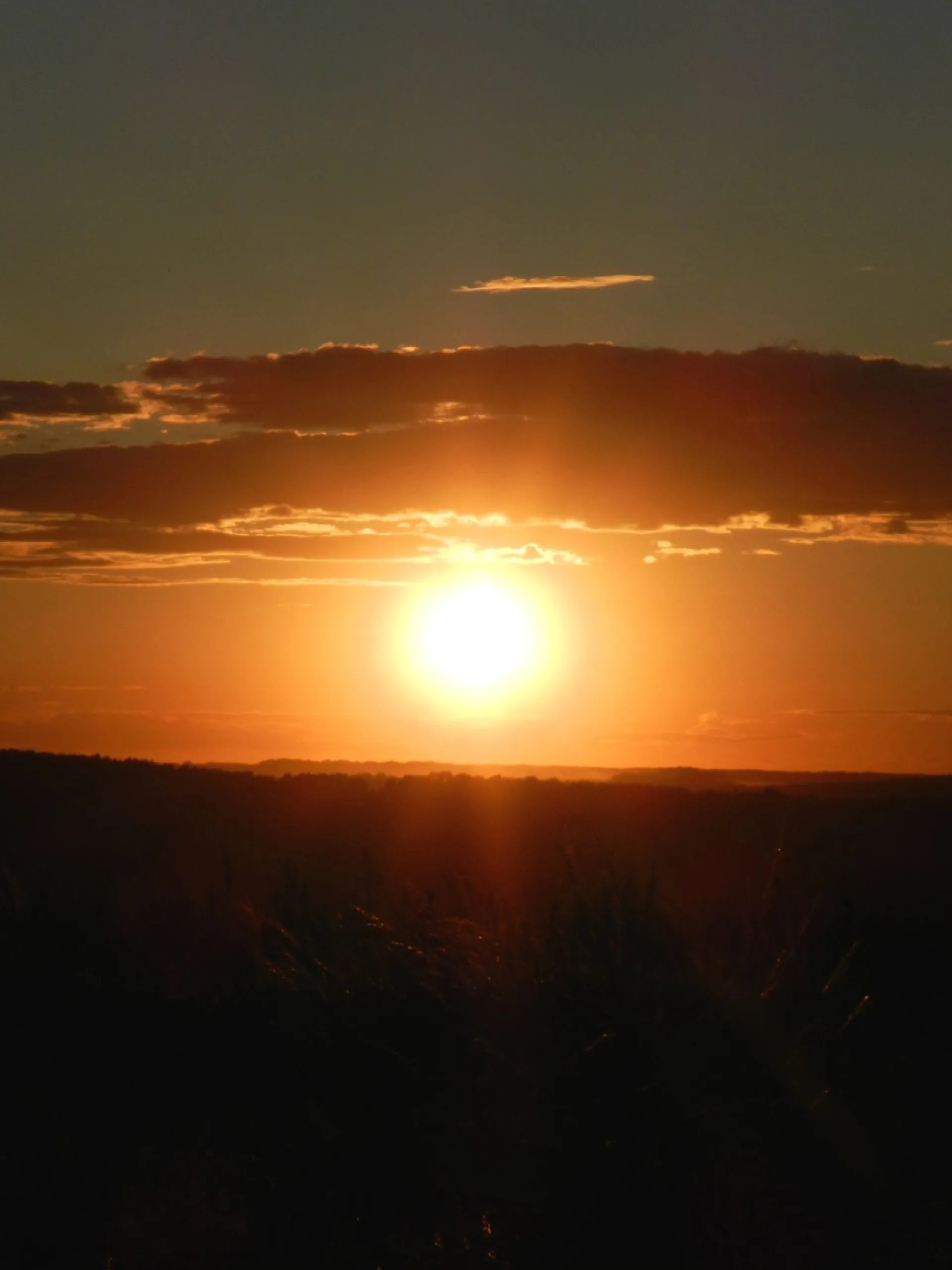 В алтайском Минздраве рассказали, как спасаться от жары В алтайском Минздраве рассказали, как спасаться от жары