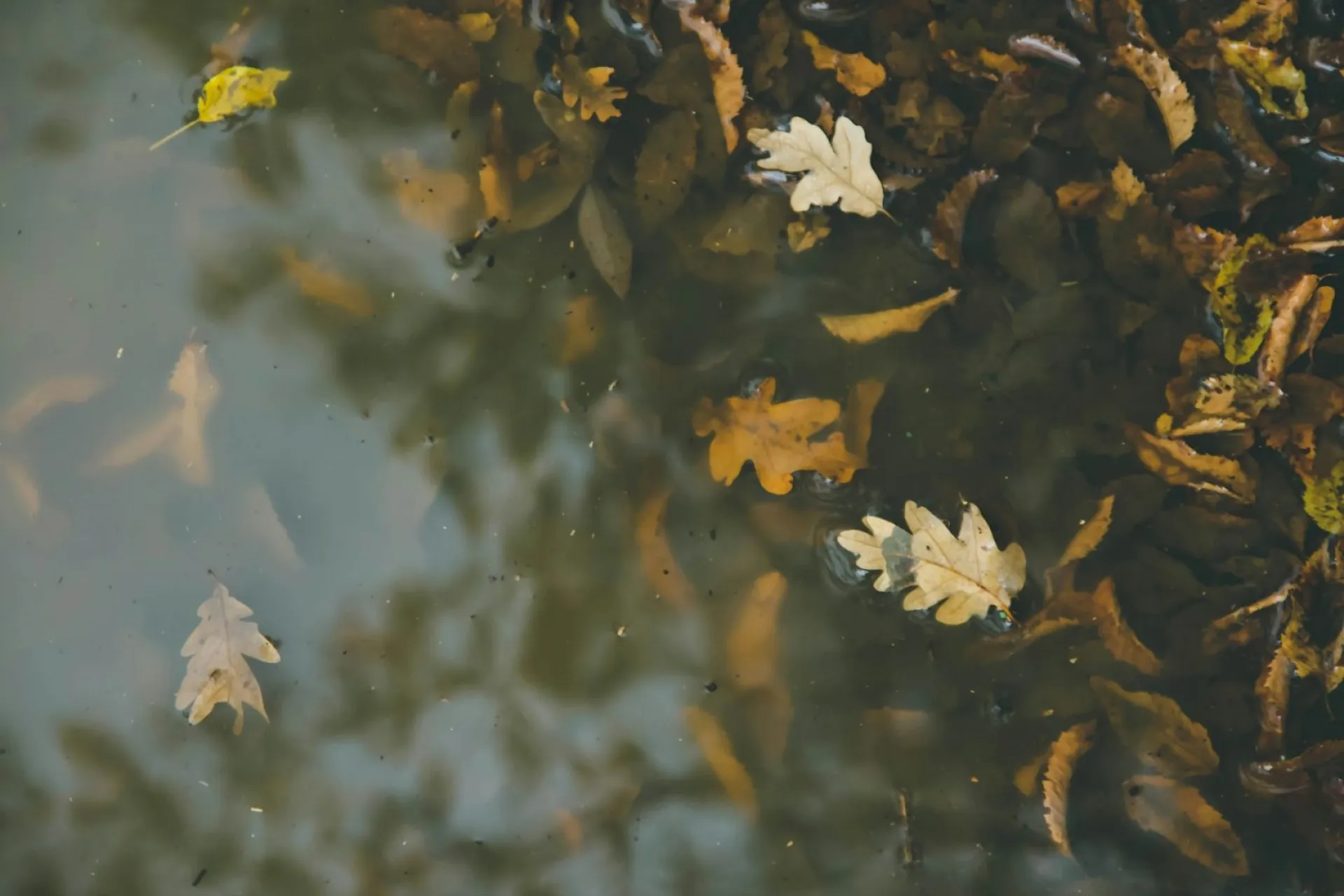 До +6: о погоде в Алтайском крае 29 октября До +6: о погоде в Алтайском крае 29 октября