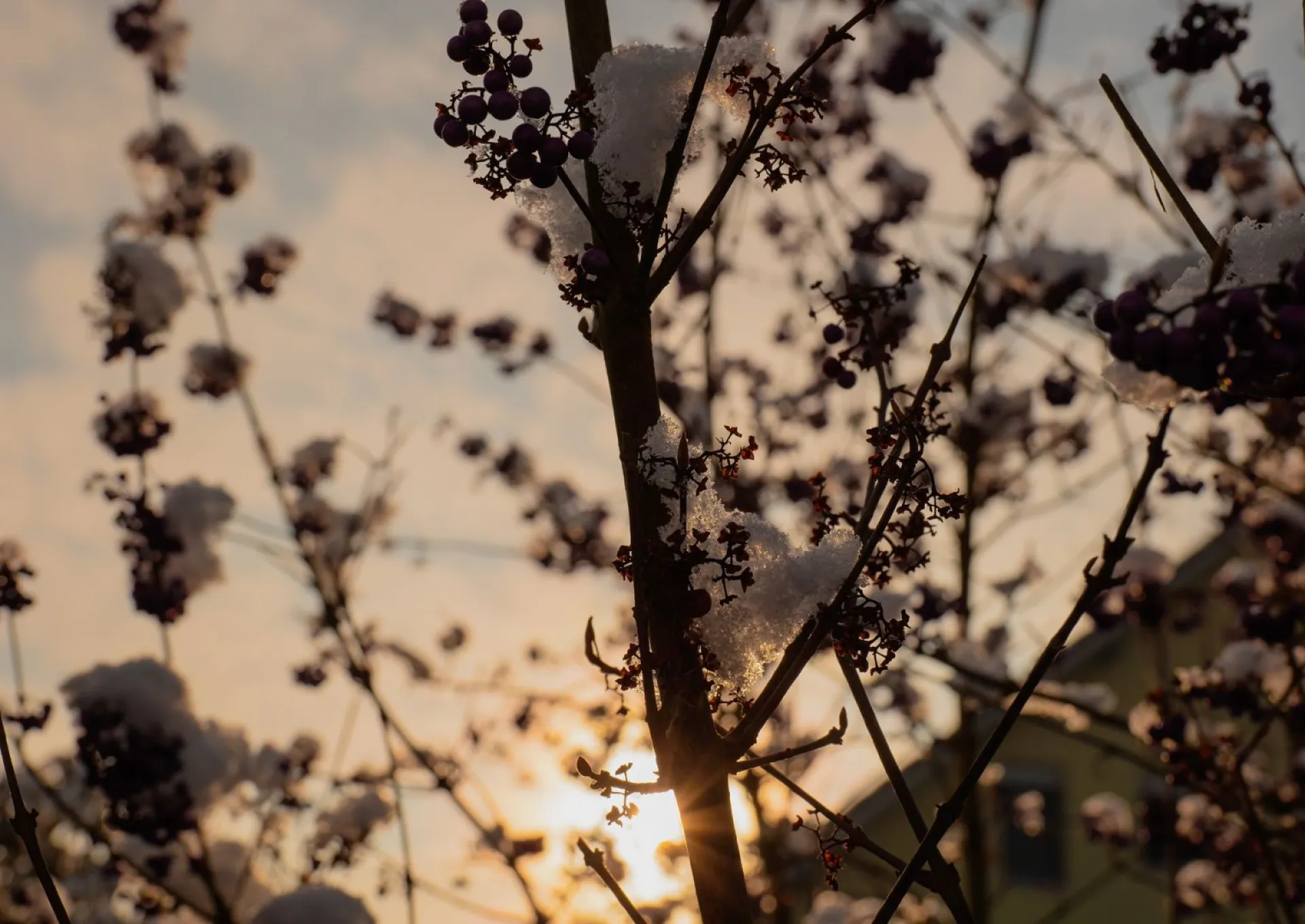 Местами снег: о погоде в Алтайском крае 27 марта