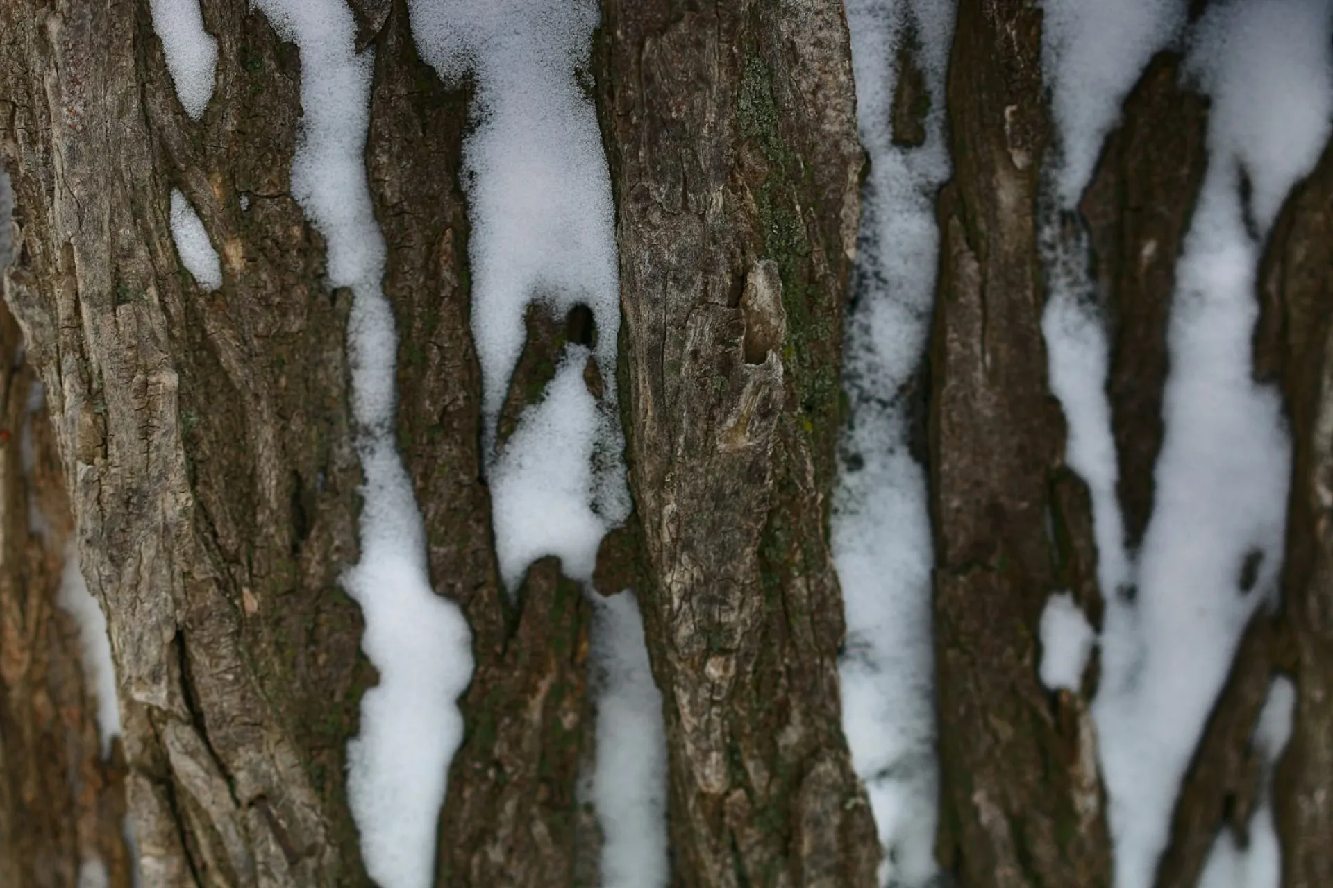 Маврикиев день: традиции и приметы на 7 марта Маврикиев день: традиции и приметы на 7 марта