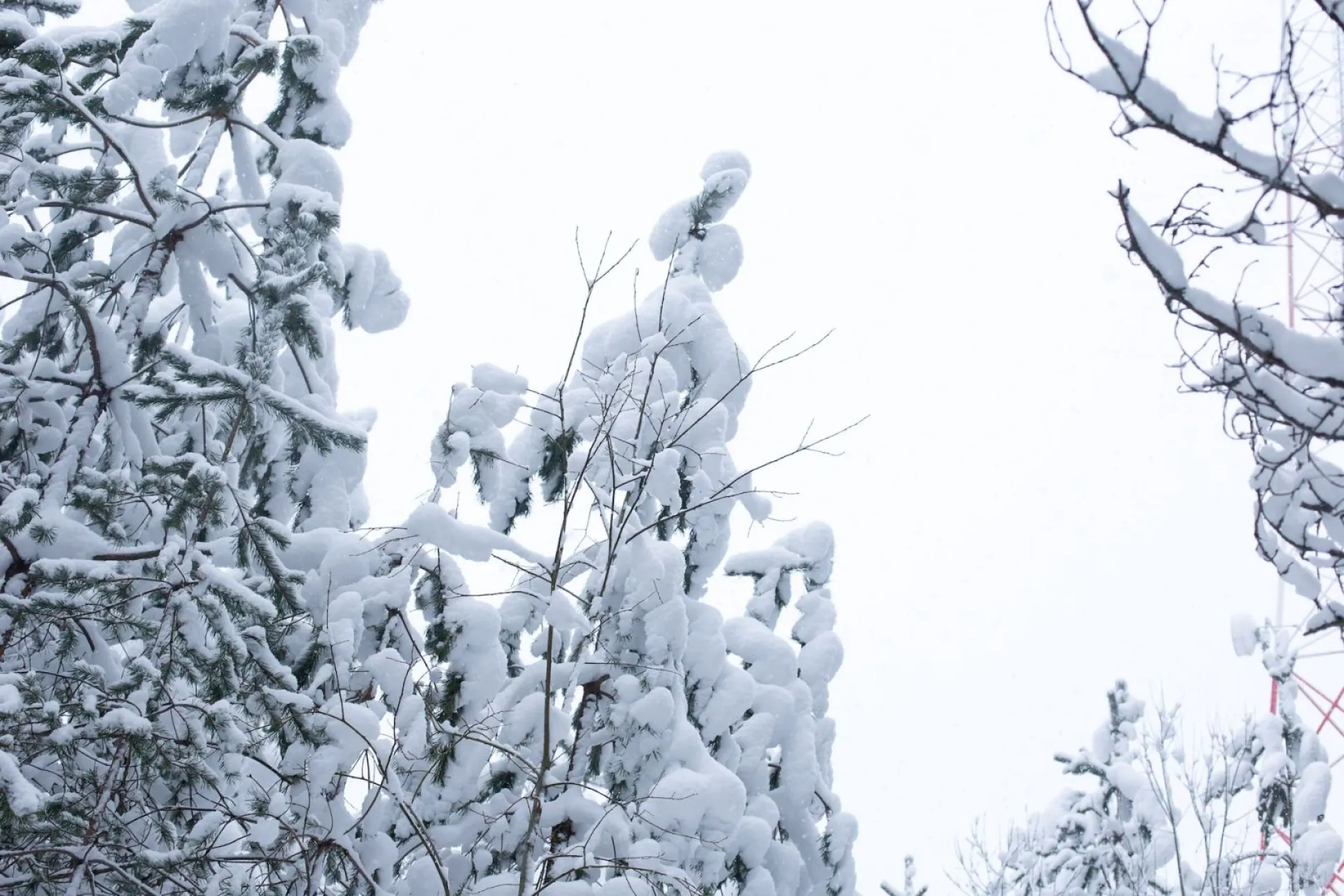 Нинин день: традиции и приметы на 27 января Нинин день: традиции и приметы на 27 января