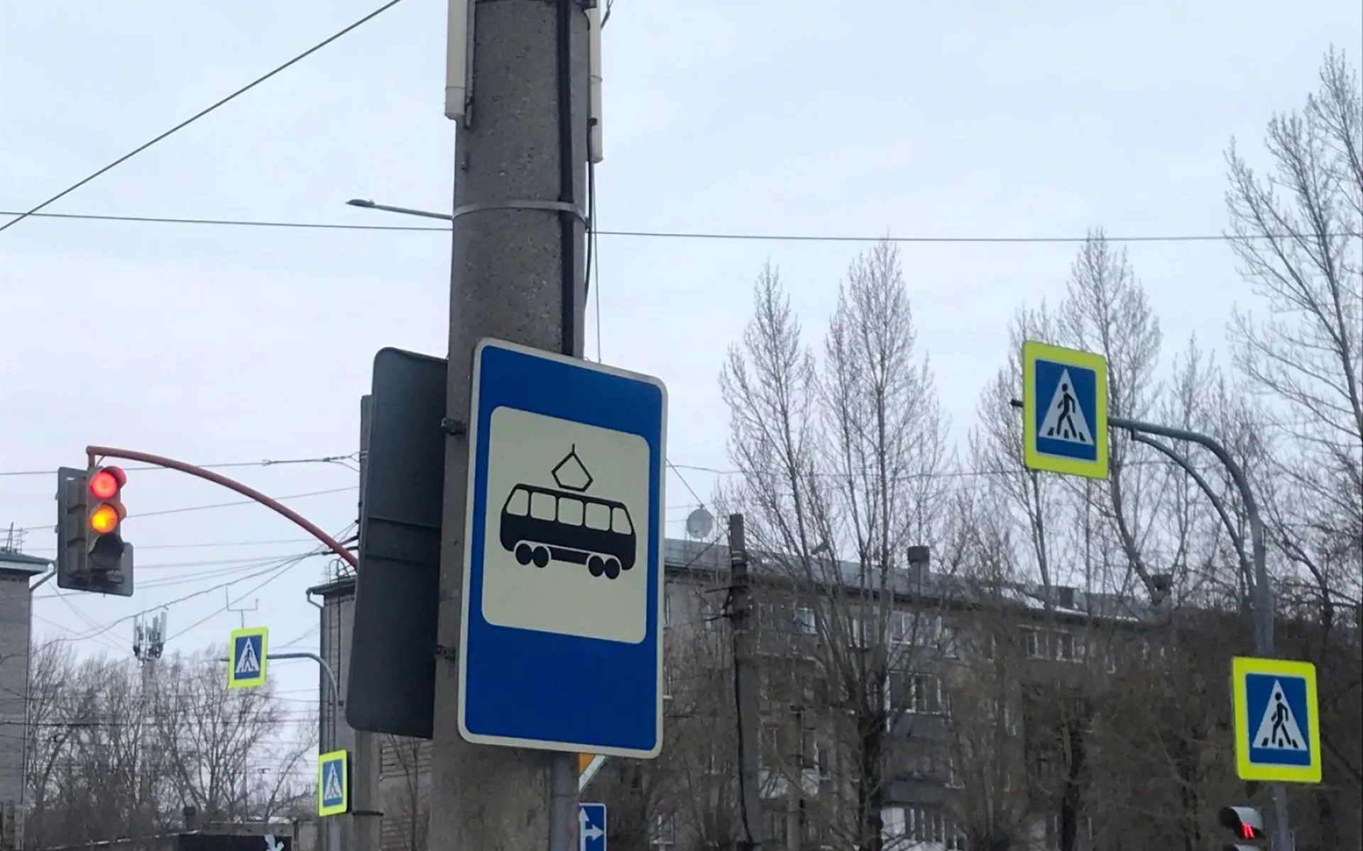 Школьники из многодетных семей смогут бесплатно ездить в общественном транспорте Барнаула Школьники из многодетных семей смогут бесплатно ездить в общественном транспорте Барнаула