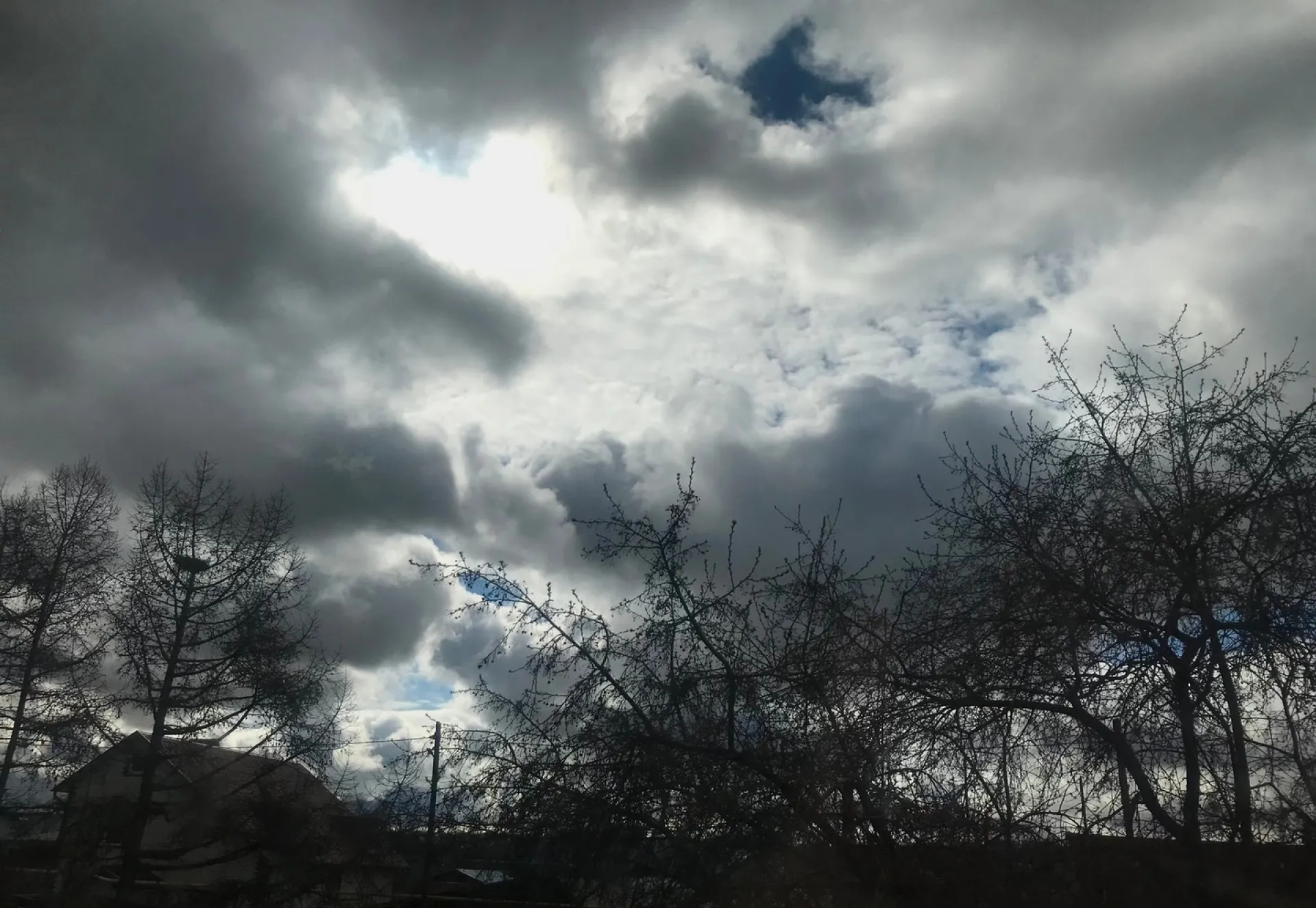 Сильные дожди, грозы и град ожидаются в Алтайском крае Сильные дожди, грозы и град ожидаются в Алтайском крае