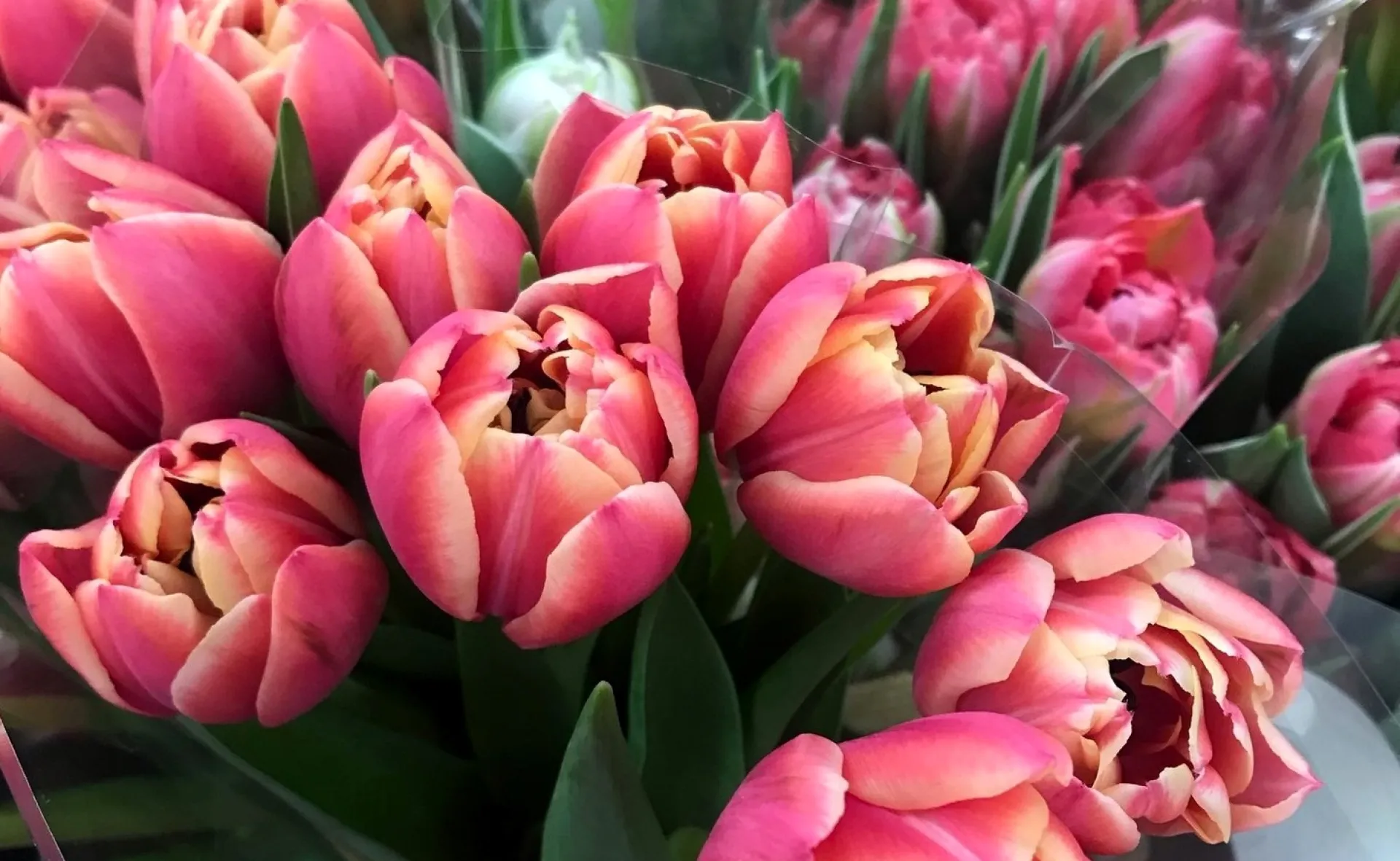 Тёплые и ясные выходные ждут жителей Алтайского края Тёплые и ясные выходные ждут жителей Алтайского края