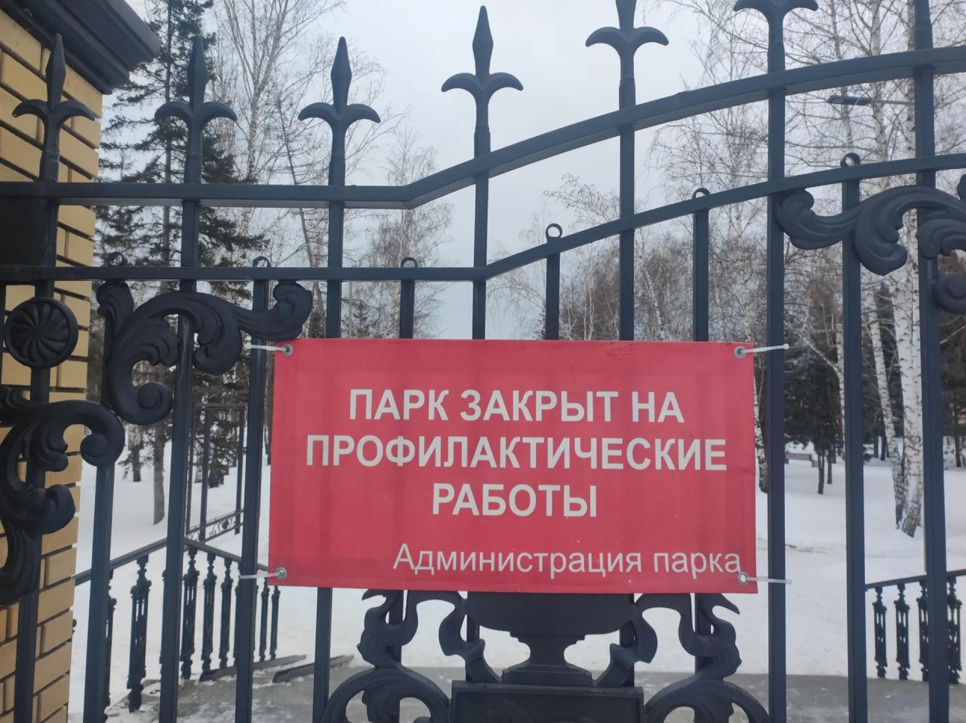 Барнаульский парк «Центральный» закрылся на профилактические работы 