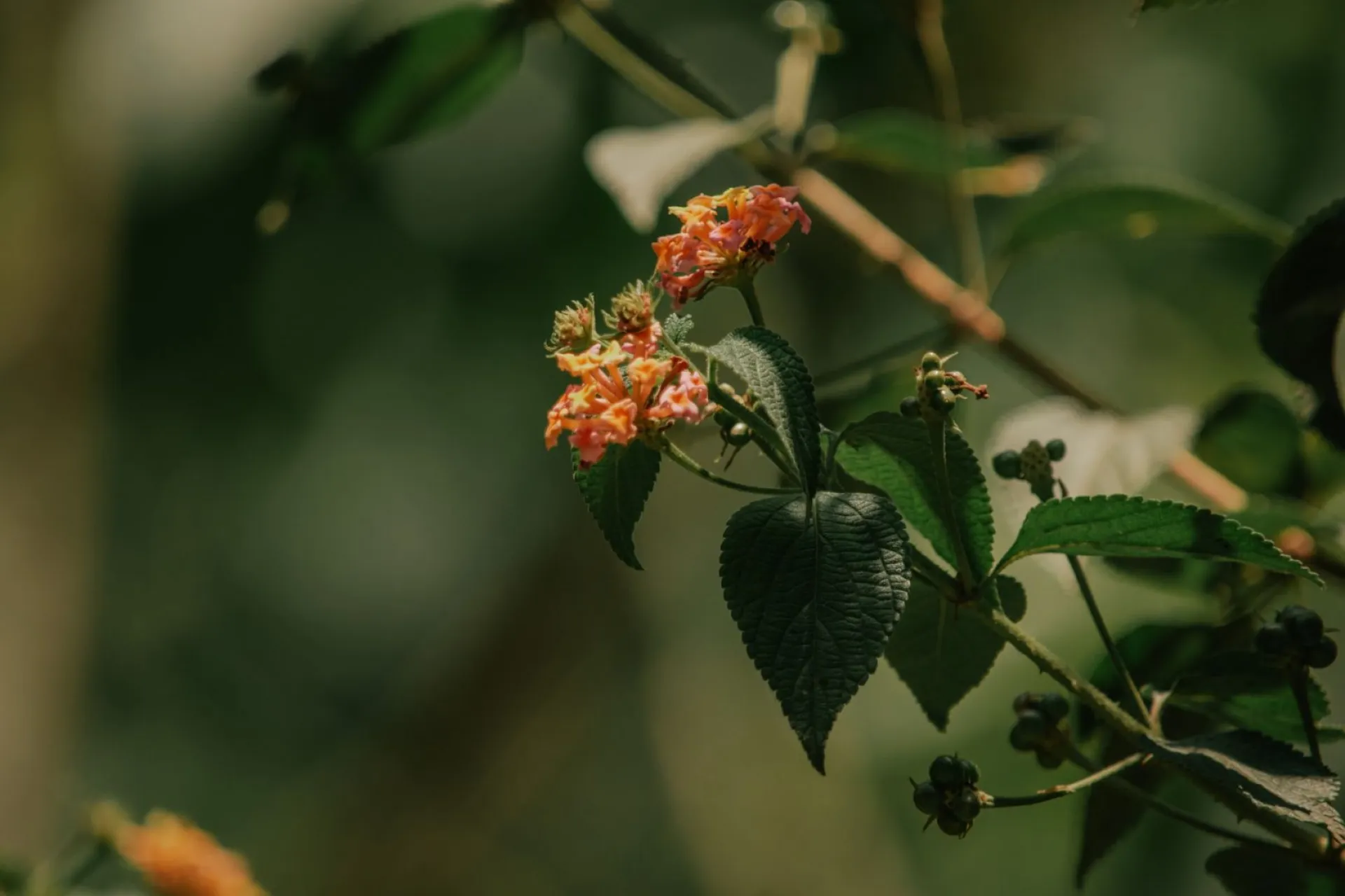 Ипатий Чудотворец: традиции и приметы на 13 мая Ипатий Чудотворец: традиции и приметы на 13 мая