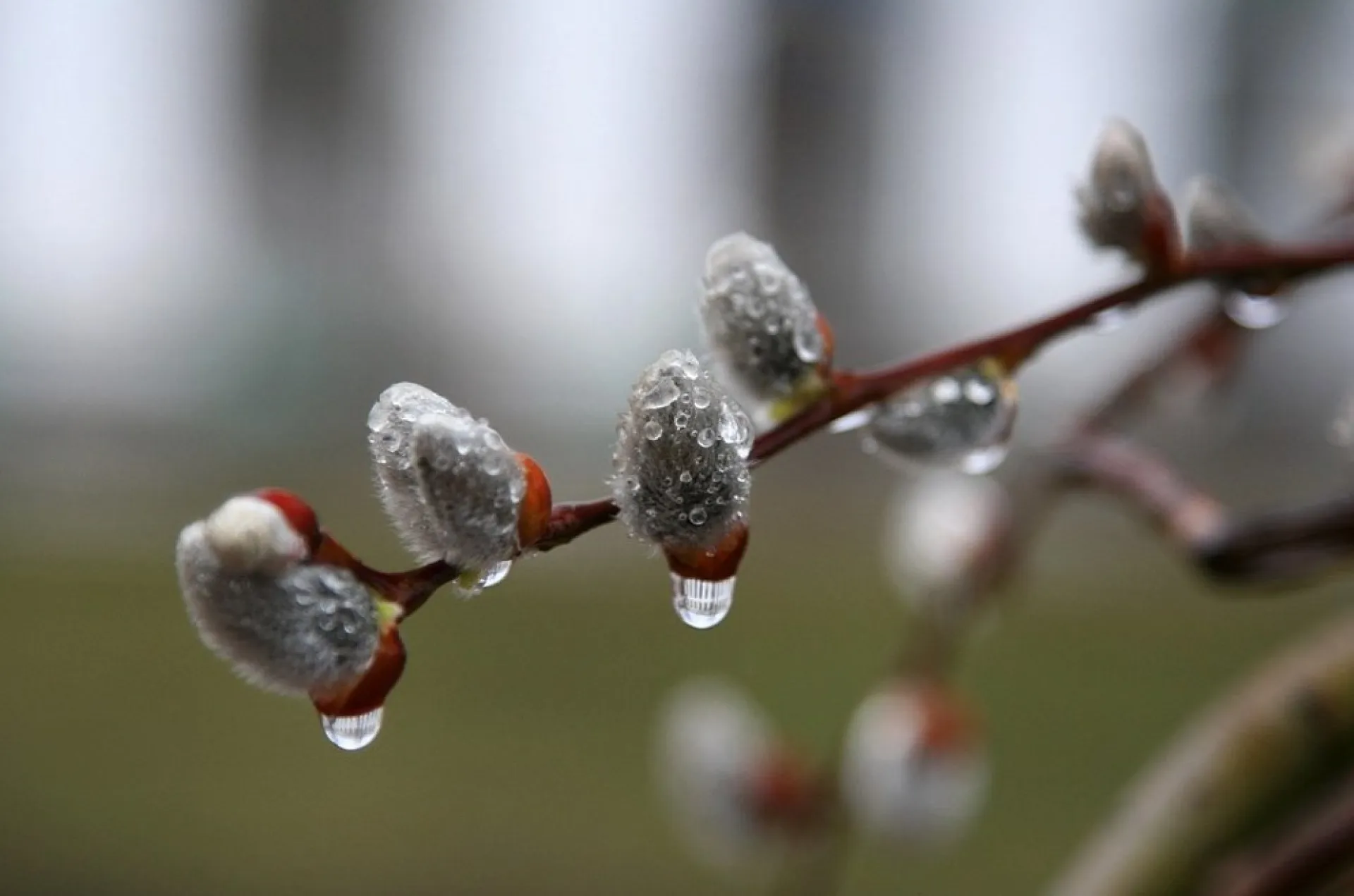 Василий Капельник: традиции и приметы на 20 марта Василий Капельник: традиции и приметы на 20 марта