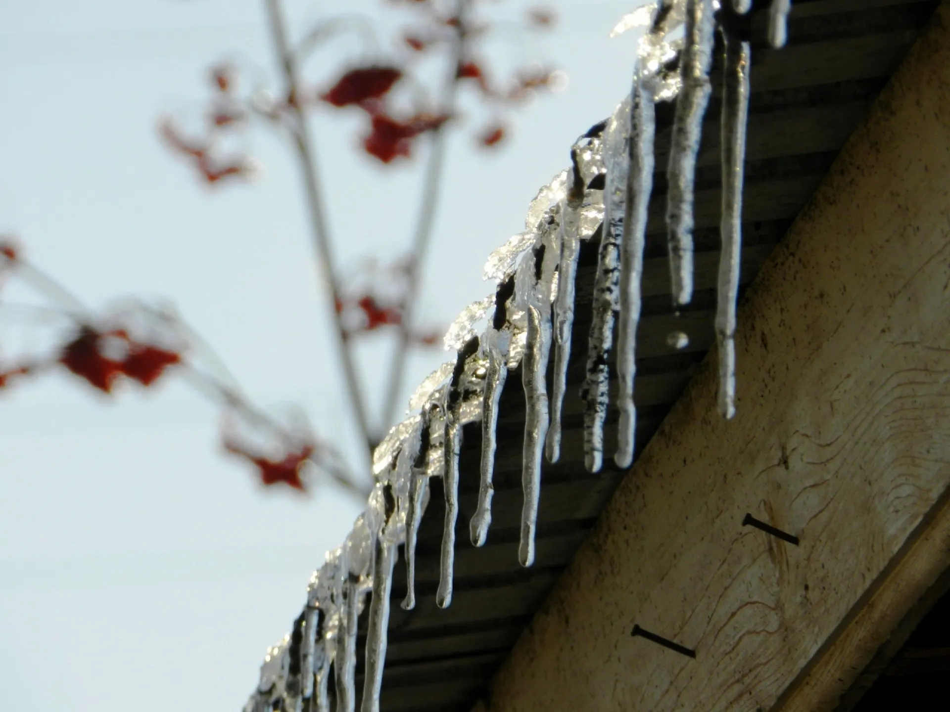 Потепление до +9 ожидает Алтайский край Потепление до +9 ожидает Алтайский край