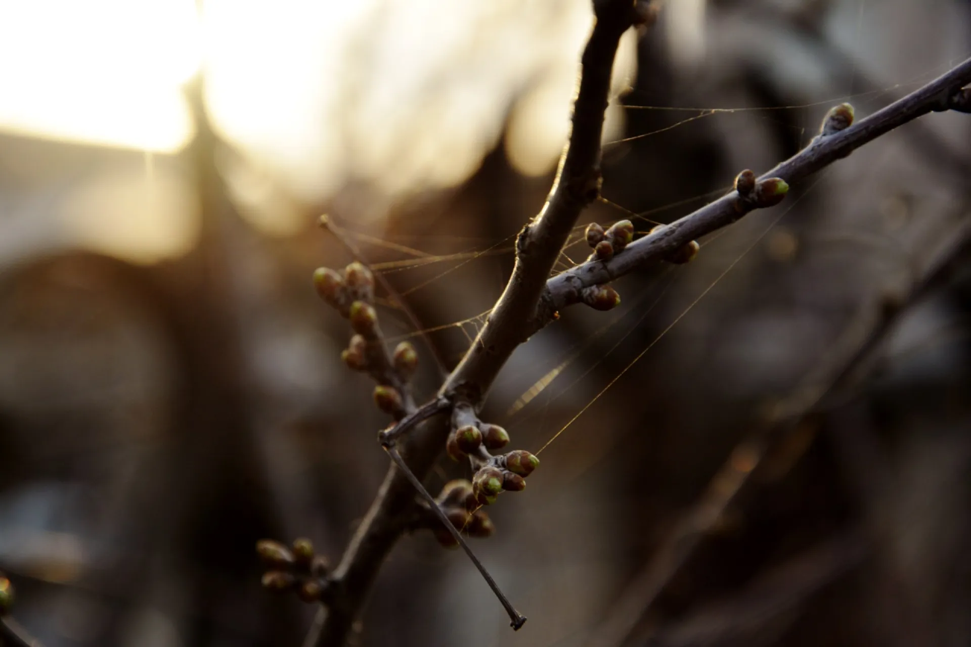 В выходные температура воздуха прогреется до +12 градусов в Алтайском крае В выходные температура воздуха прогреется до +12 градусов в Алтайском крае