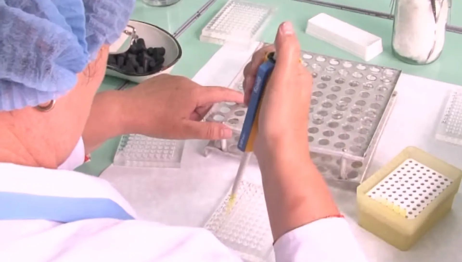 345 жителей Алтайского края пострадали от присасывания клещей за неделю